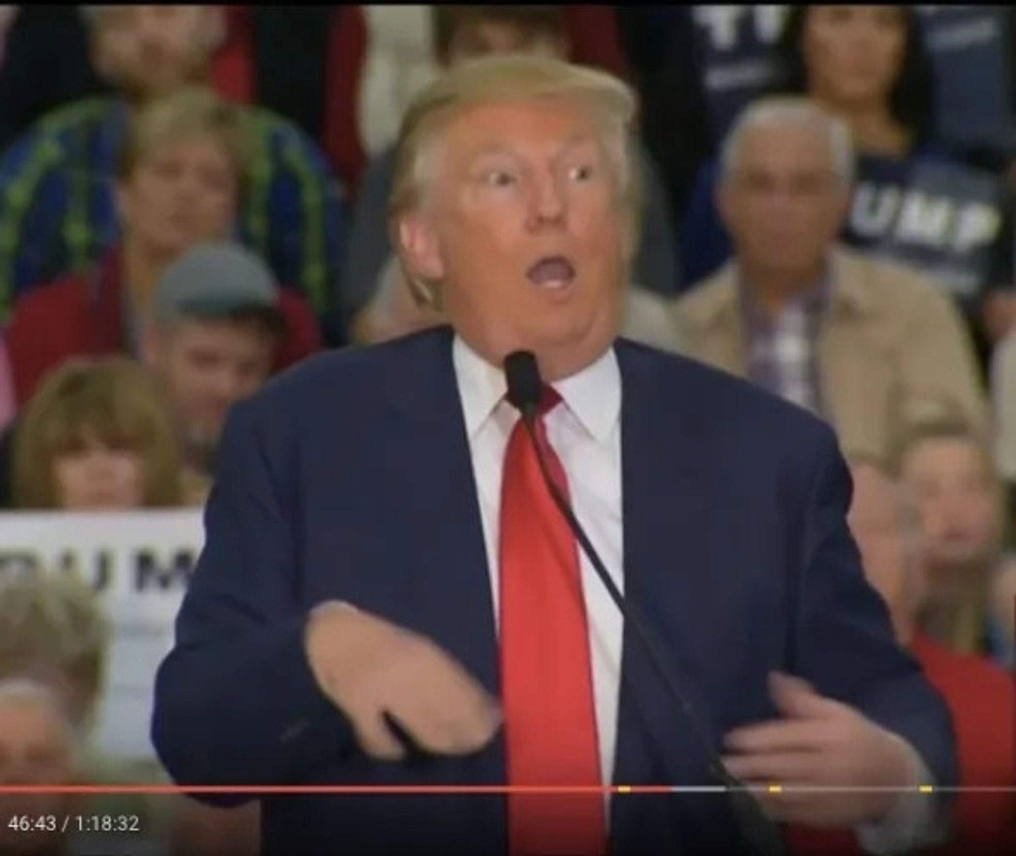 DONALD Trump mocking a disabled reporter during a party rally in 2015.