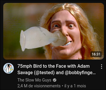 YouTube video: 75mph Bird to the Face with Adam Savage (‪@tested‬) and ‪@bobbyfingers‬ - The Slow Mo Guys

it's supposed to be a ballistic gel goose but it does look like a dildo in that thumbnail, isn't it?