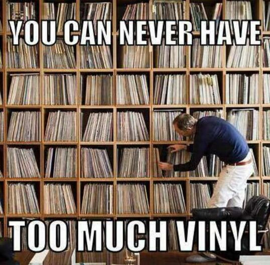 a man is standing in front of a wall of vinyl records and the text reads "you can never have too much vinyl"