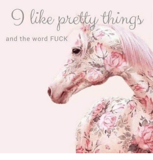 Gorgeous painted white horse and the text, "I like pretty things and the word FUCK."

Because I do. I also like horses, but if I had to pick one or the other, I'd go with cussing because it's much less expensive.