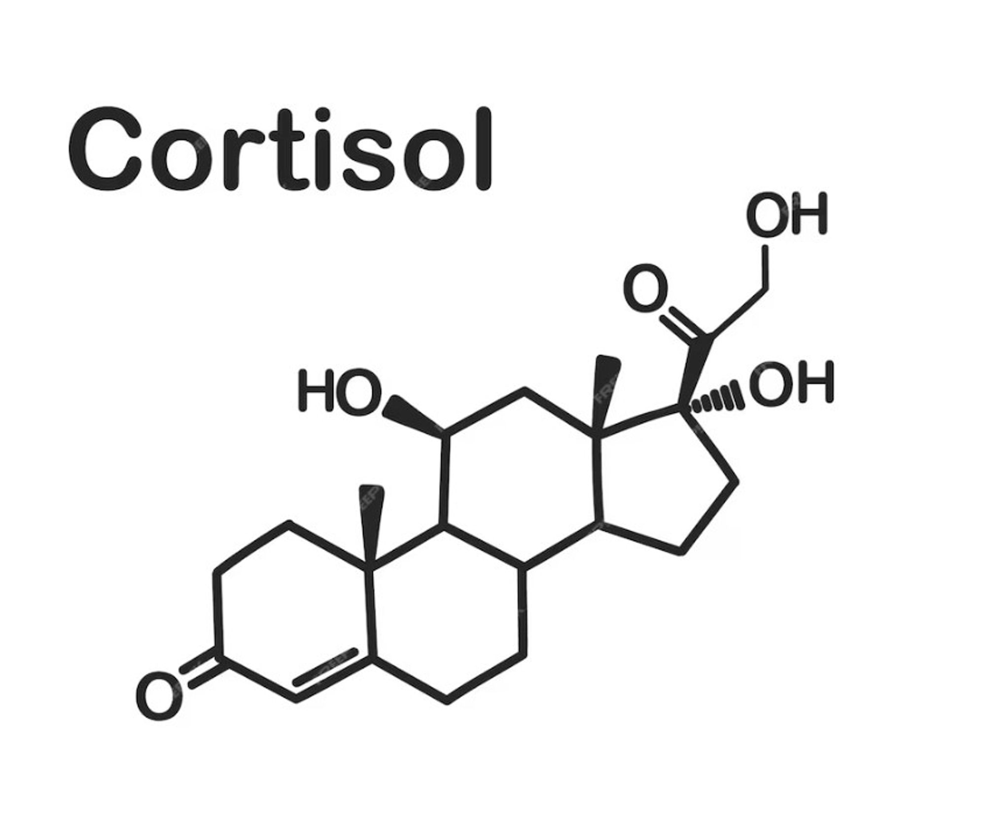 a cortisol molecule