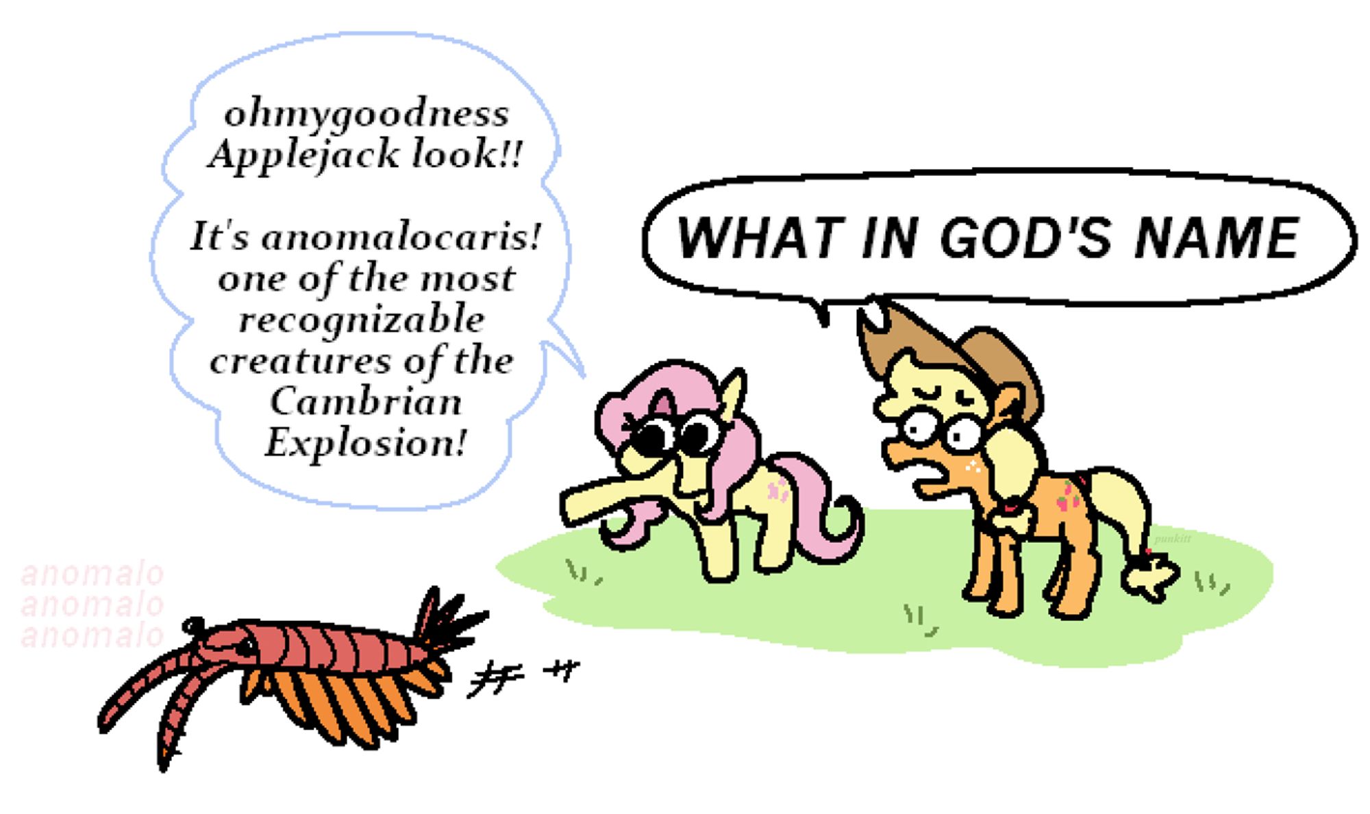 My Little Pony's Apple Jack and Fluttershy encounter an anomalocaris 