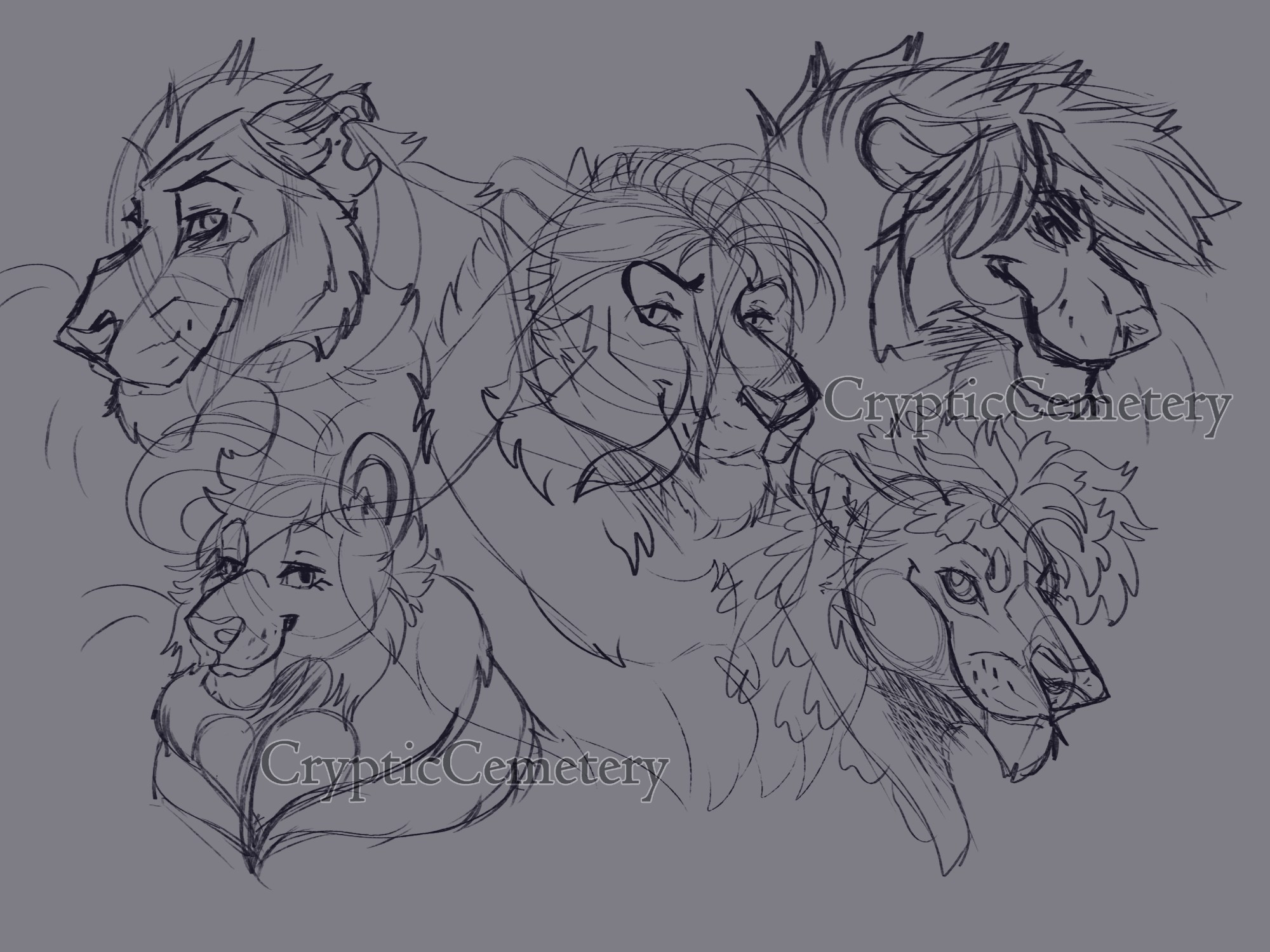 Sketch headshots of 5 lion-like creatures placed in a "five of die" pattern.
Top row - Bones, Reaper
Middle - Graveyard
Bottom Row - Cemetery, Corvid