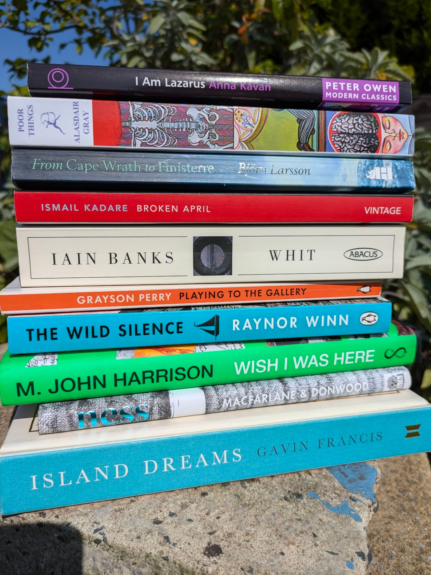 A pile of books shown spine-on comprising:

Robert MacFarlane     Ness
Gavin Francis             Island Dreams
Grayson Perry           Playing to the Gallery 
Raynor Winn            The Wild Silence
Iain Banks                 Whit
Ismail Kadare            Broken April 
Alistair Gray              Foolish Things
Bjorn Larsson           From Cape Wrath to Finisterre 
M John Harrison       Wish I Was Here
Anna Kavan                I am Lazarus