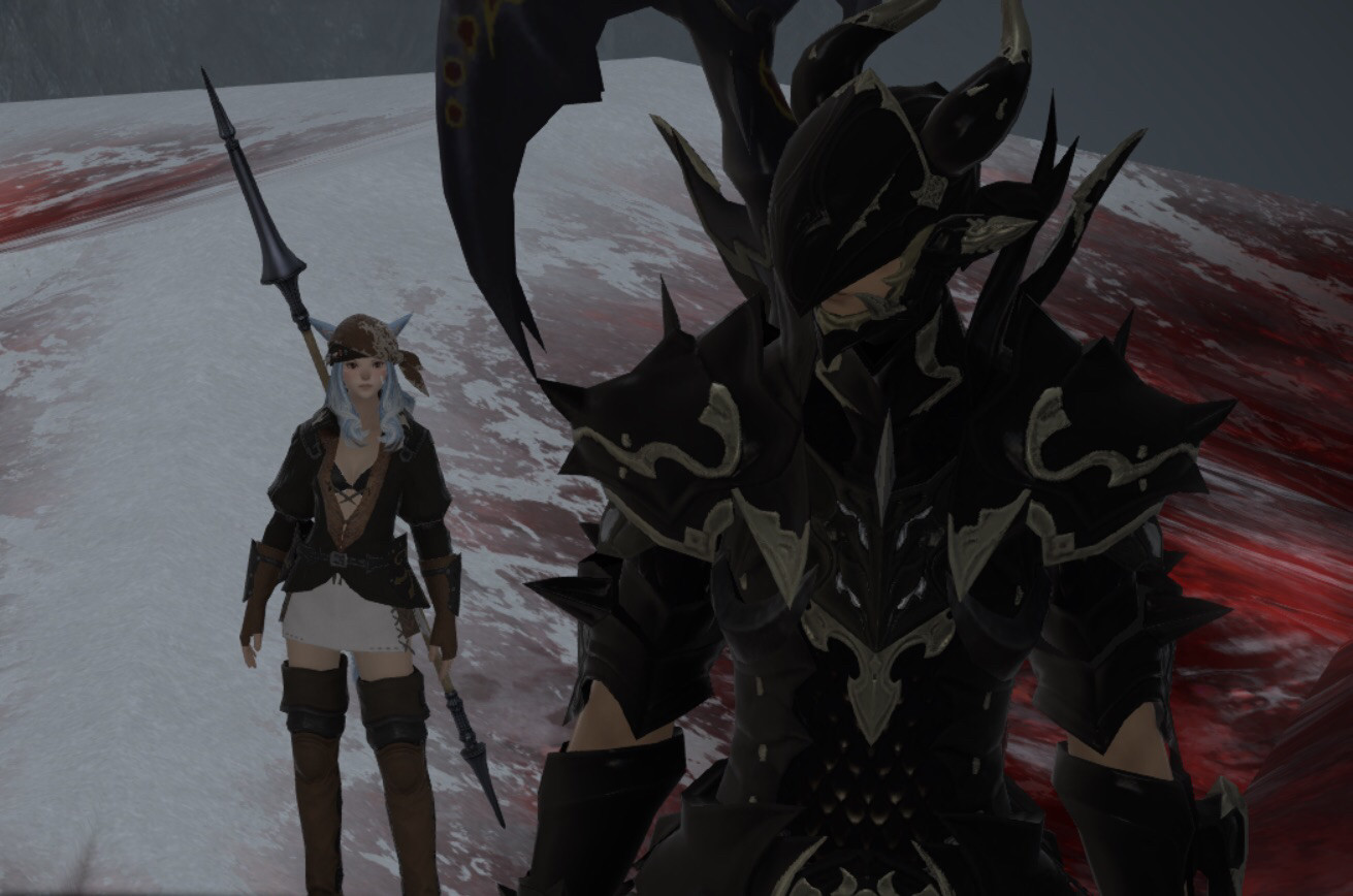 Actual picture of my Dragoon Wol, Mynte and Estinien.. in his dragoon armor.