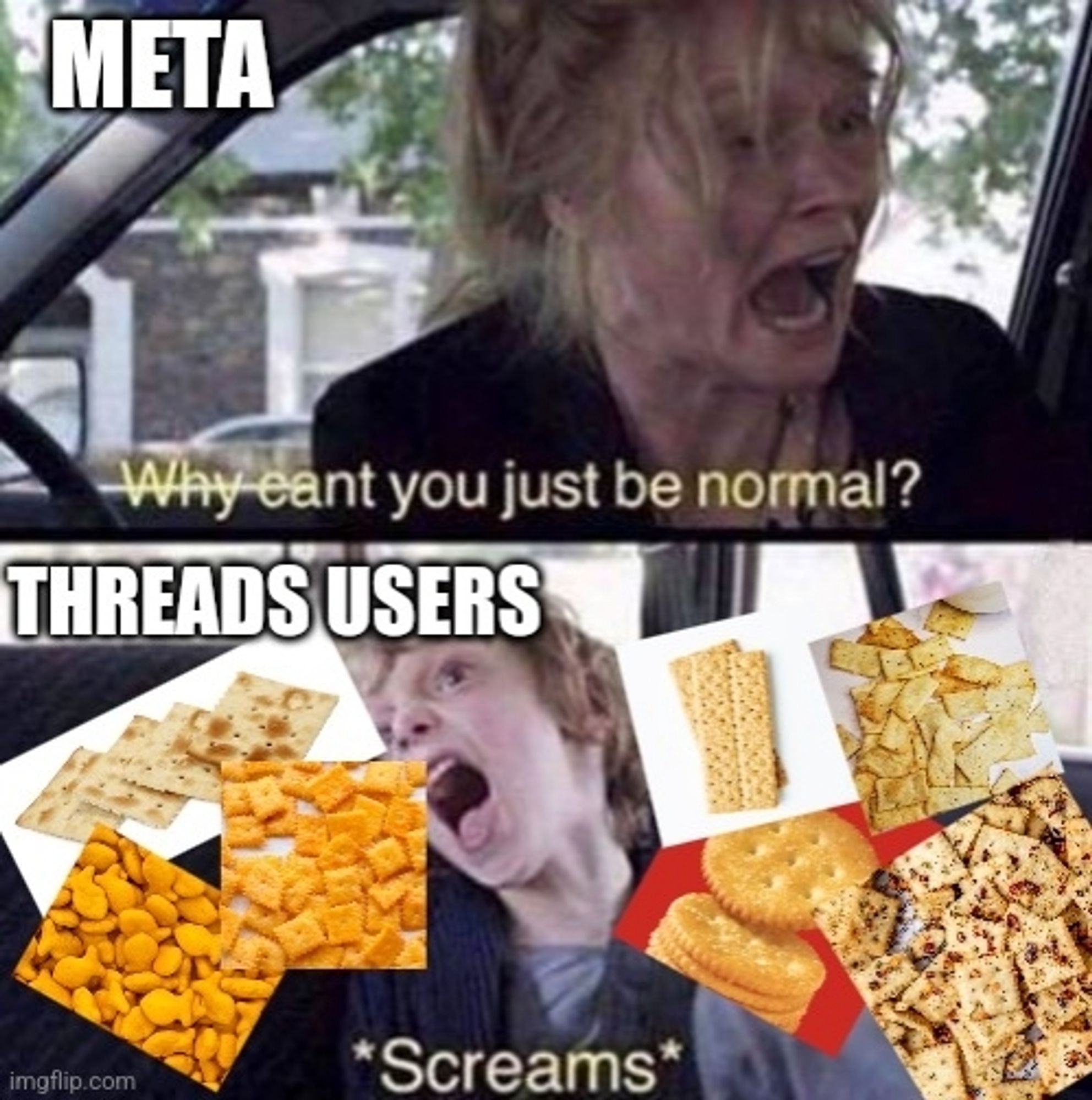 Meta: why can't you be normal
Threads users: screaming, images of crackers everywhere