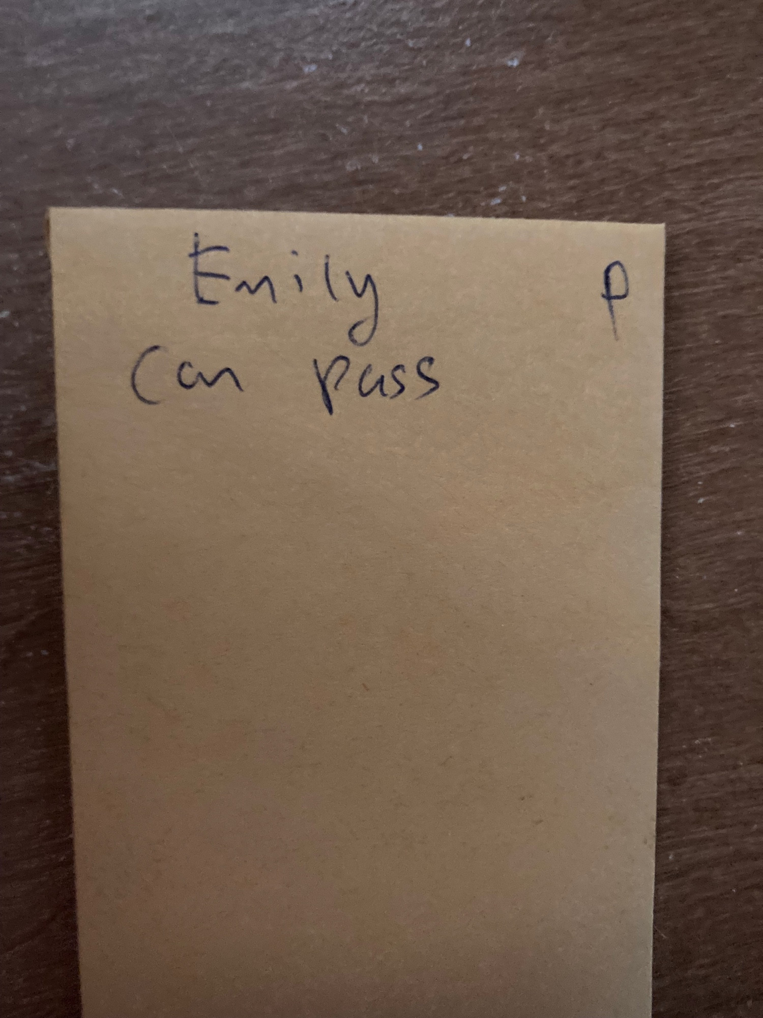 A photo of a tiny passport photo-sized envelope. In pen, it reads: “Emily can pass”