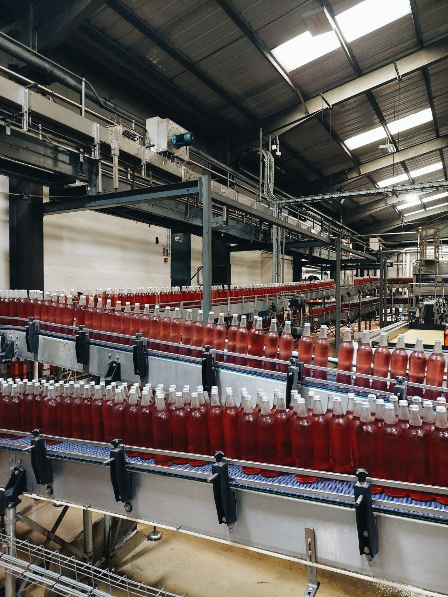 Hundreds of bottles zooming past on the conveyor belt