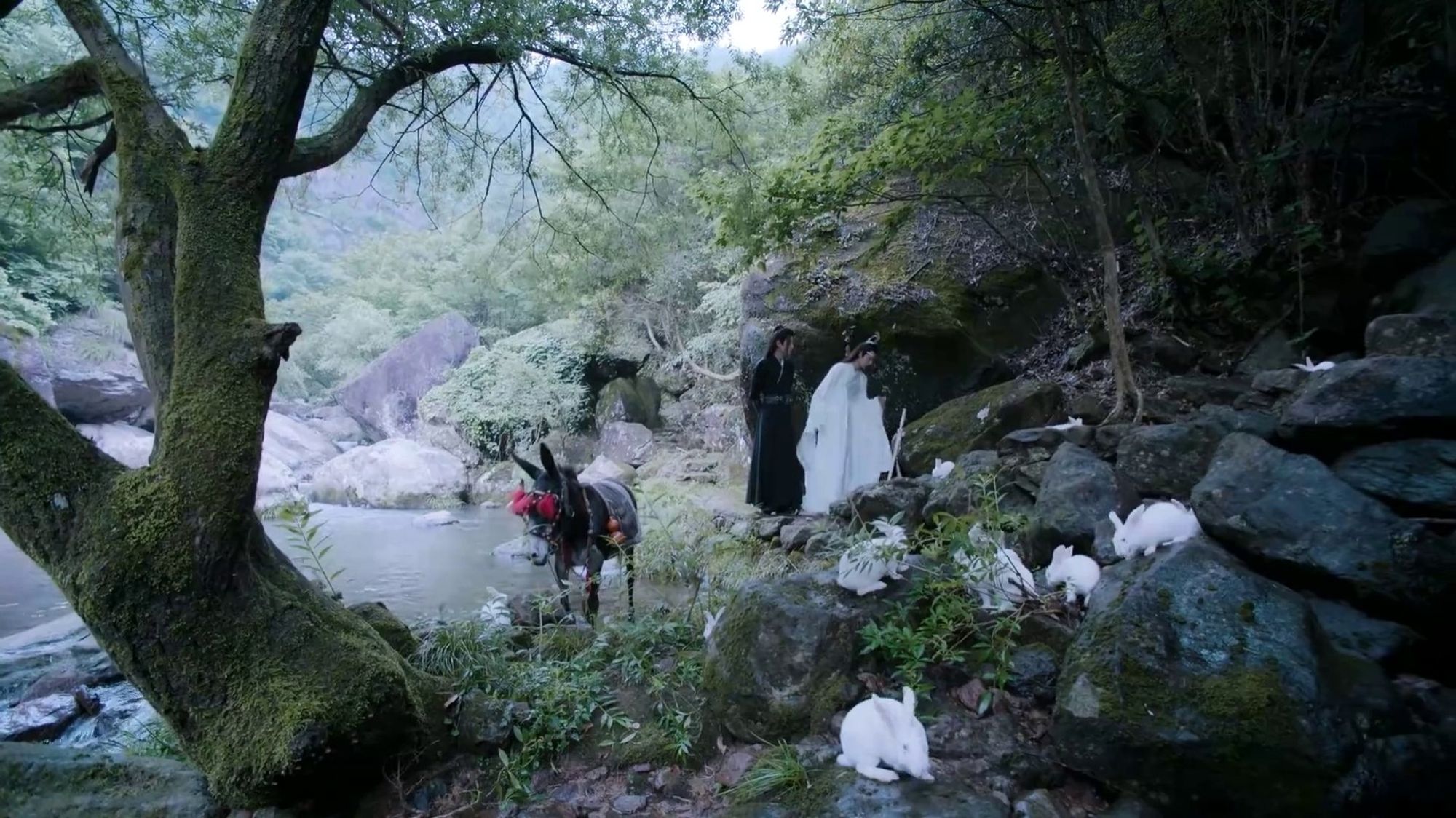 Wei Wuxian (actor Xiao Zhan), Lan Wangji (actor Wang Yibo), Little Apple, the donkey, & rabbits in The Untamed / CQL