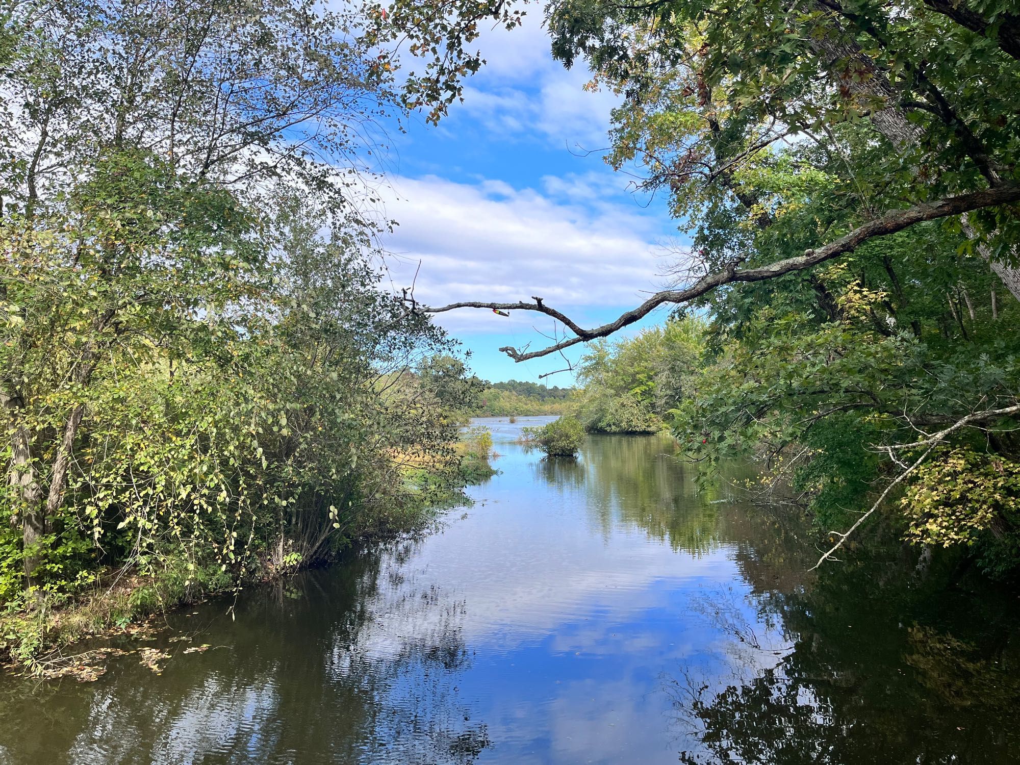 Bluesky reflection and a pond photo from a hike we went on earlier this week.