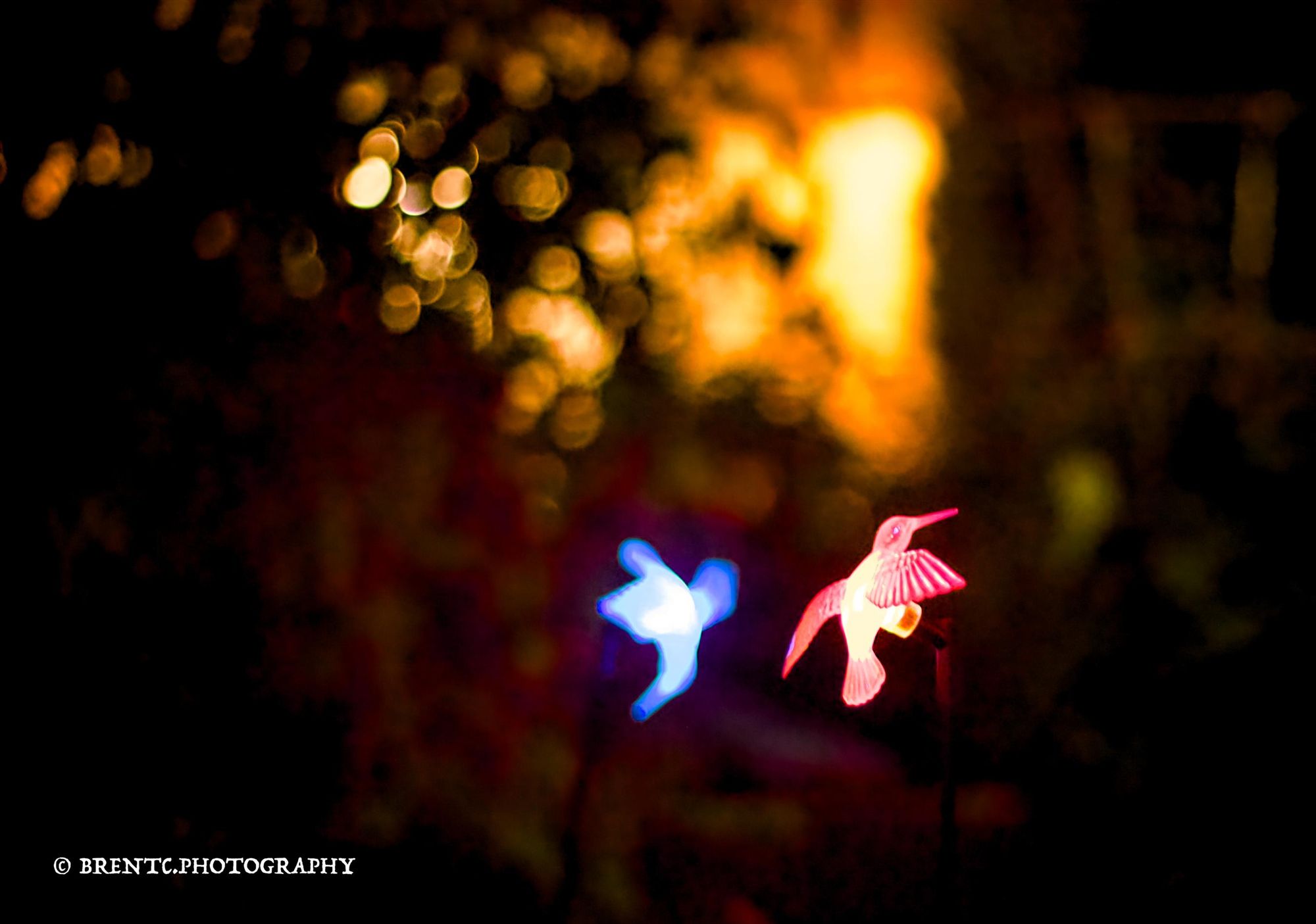 Two plastic hummingbird lights glowing with streetlights in the background.