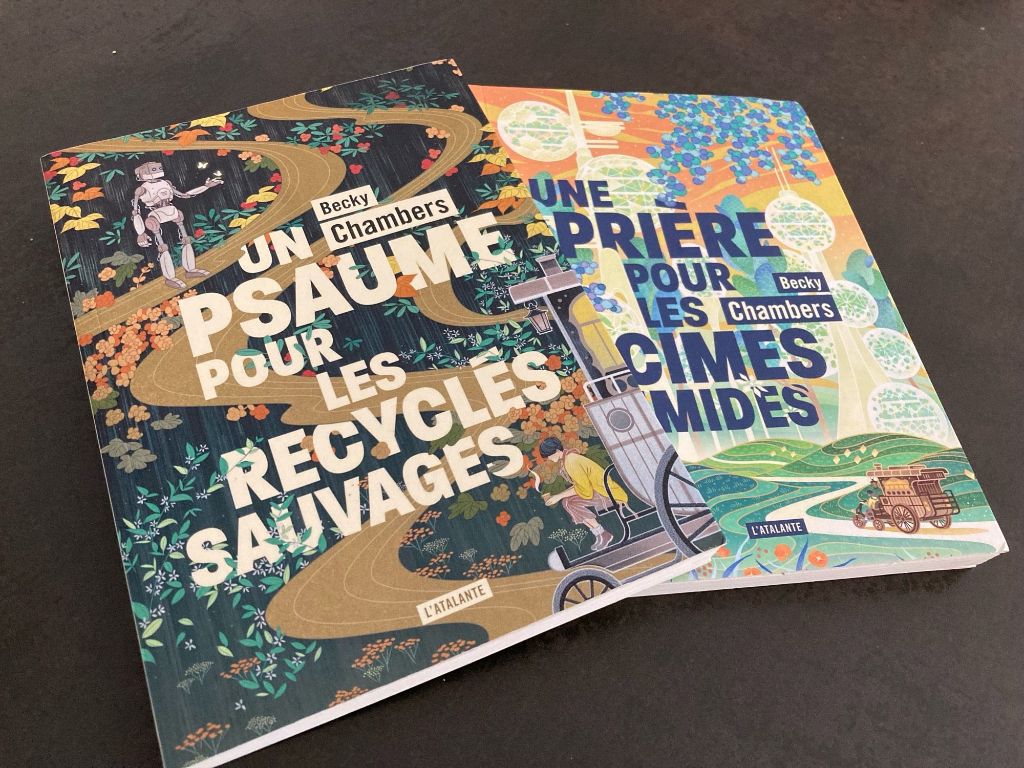 Photos des livres Un Psaume pour les Recyclés Sauvages et Une Prière pour les Cimes Timides