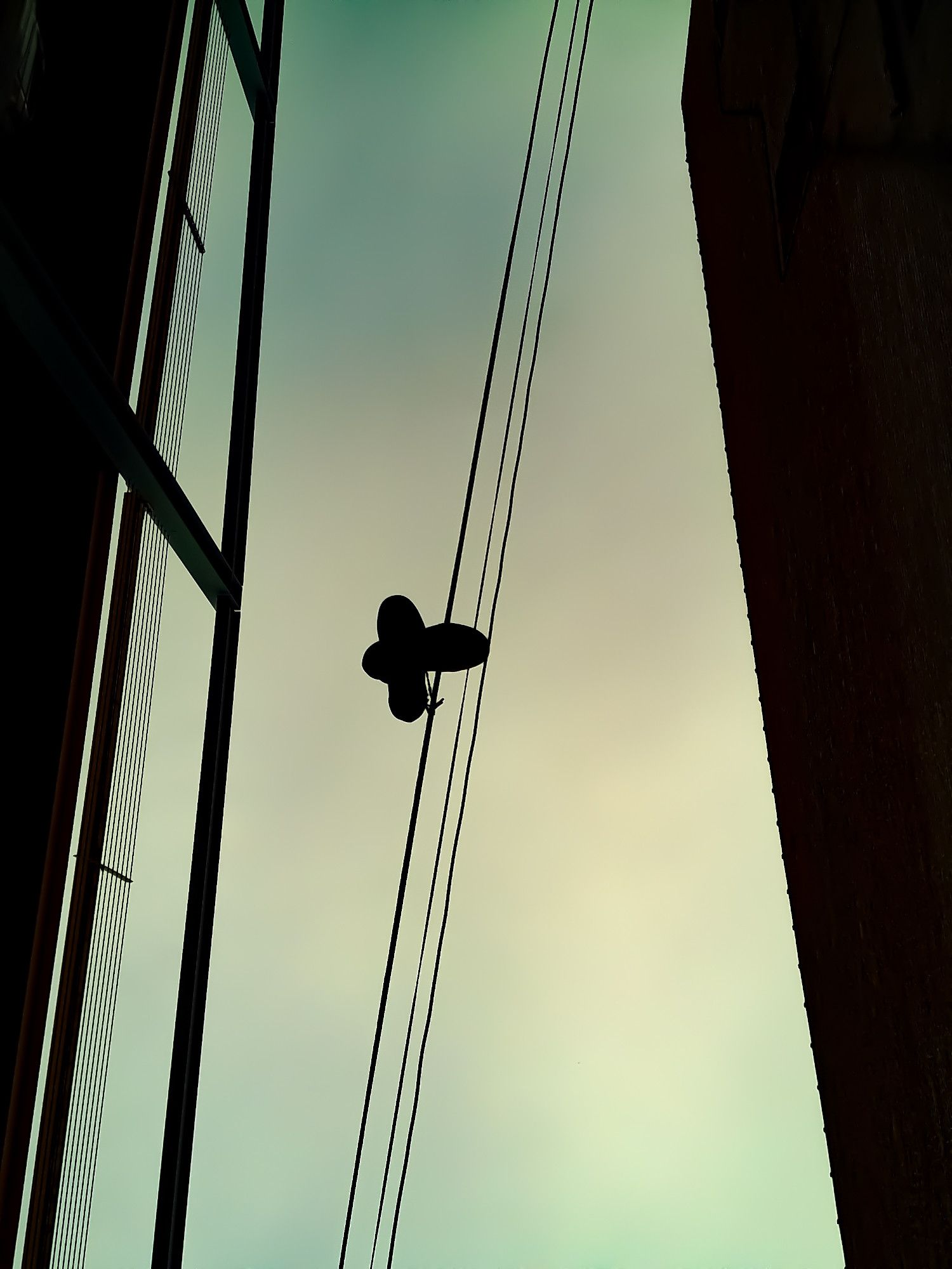 photo of sneakers hanging off line against shadows and a green sky.