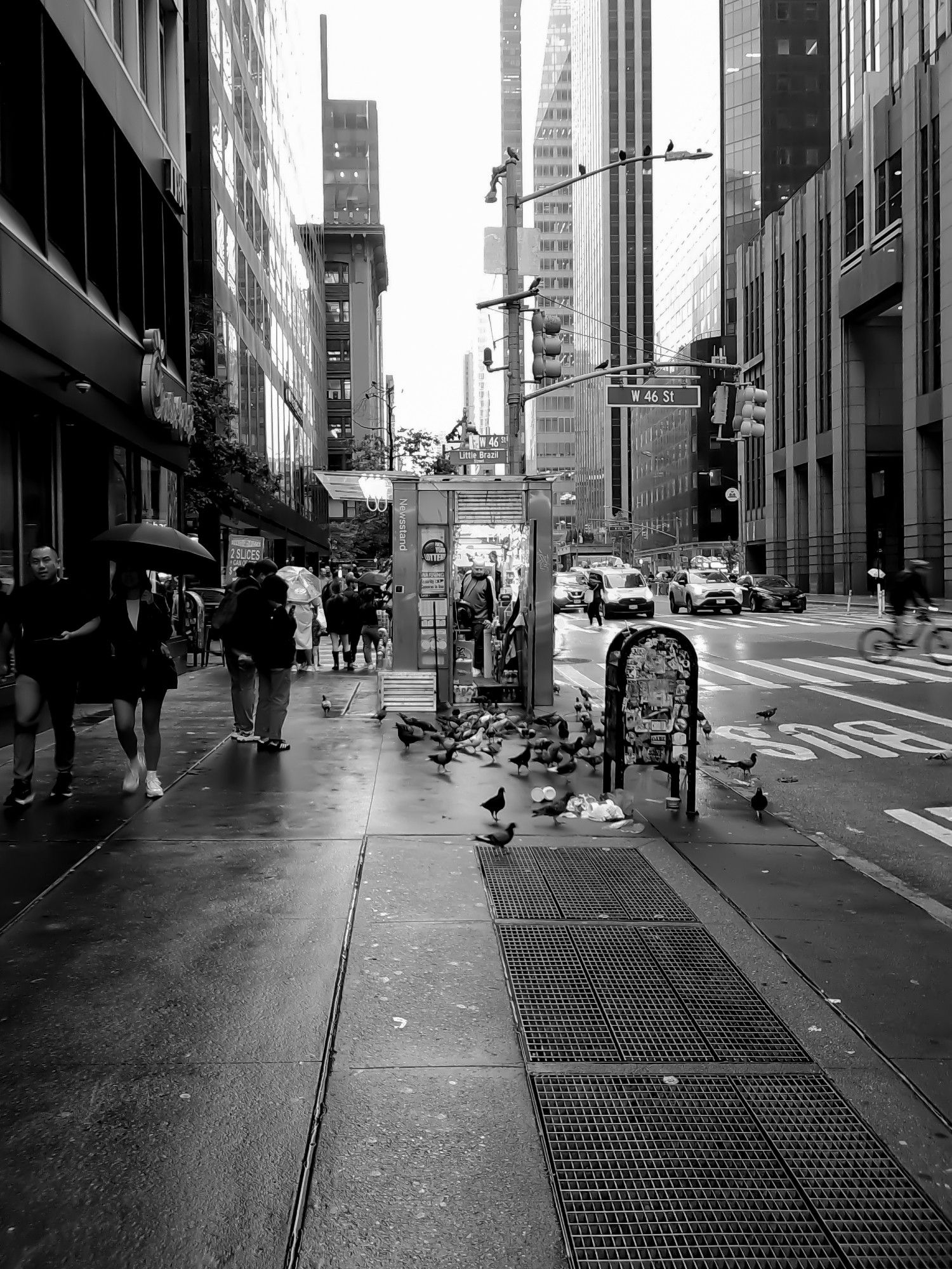 news stand on w 46th street with pigeons