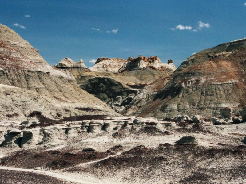 Bisti badlands wide view.