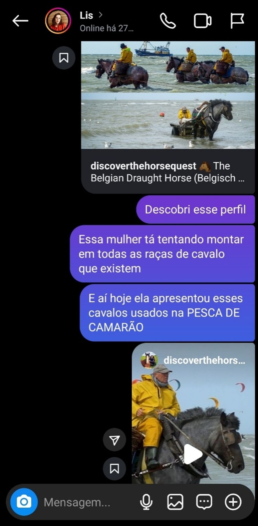 Print de um chat de Instagram mostrando o perfil "discoverthehorsequest". As mensagens seguintes dizem "Descobri esse perfil. Essa mulher tá tentando montar em todas as raças de cavalo que existem. E aí hoje ela apresentou esses cavalos usados na PESCA DE CAMARÃO"