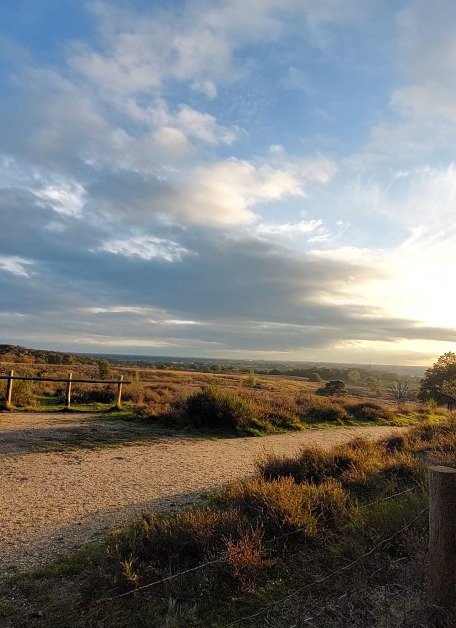 Op deze foto zie je een wijds uitzicht vanaf n berg op de Mookerheide.