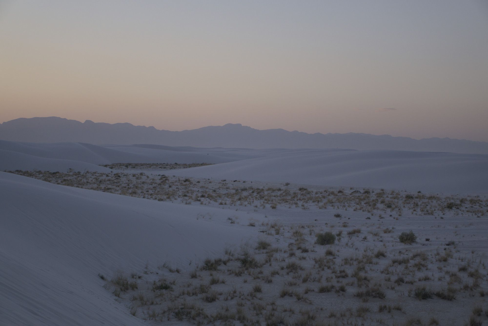 a shot of the white sands dunebed with a stream of vegetation running between the dunes. The left of frame is occupied by a large dune ascending halfway up the shot with the the wave of plants zig zagging to its right then left and right again into the distance. There is a hazy mountain line across the horizon and the twilight of sunset fills the sky from top left.