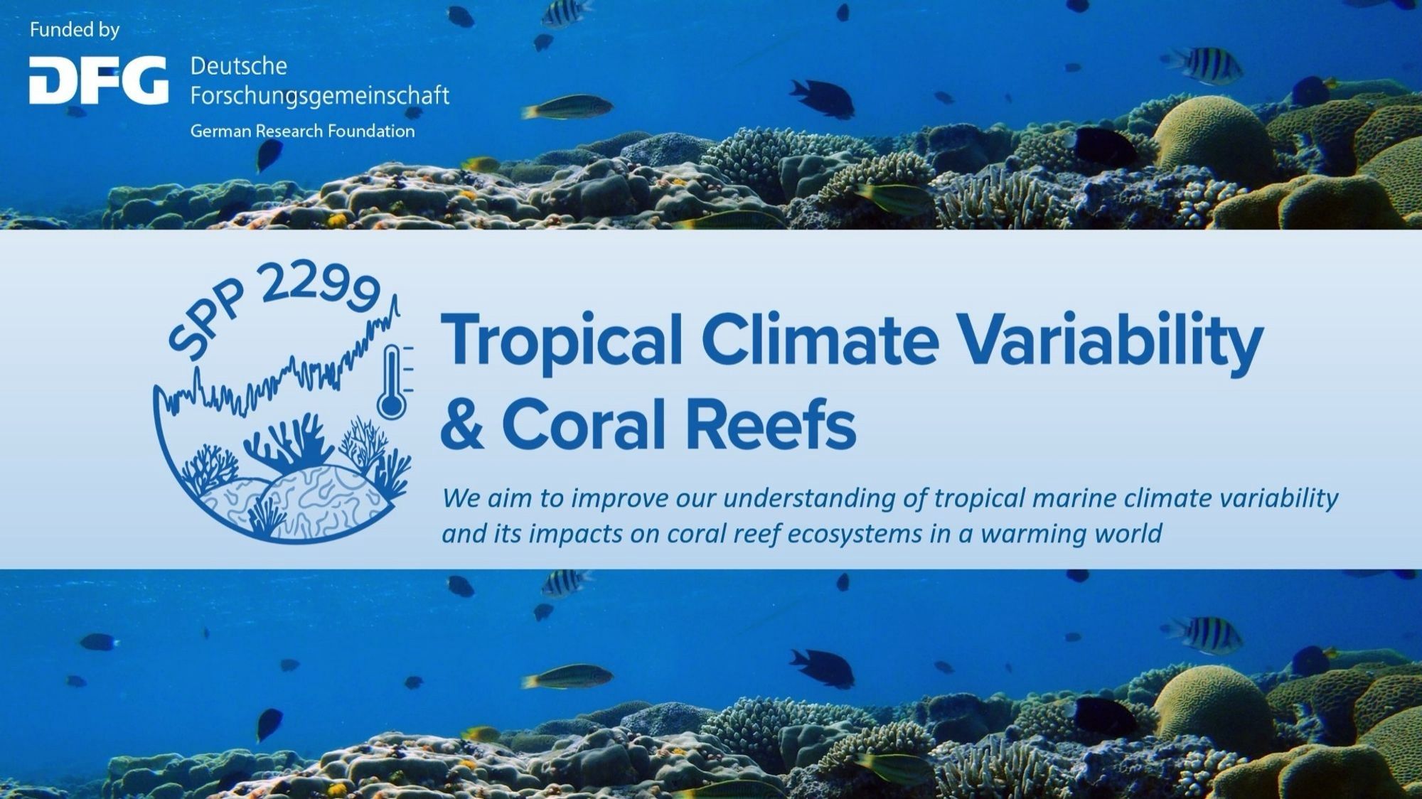 SPP 2299 logo with images of corals