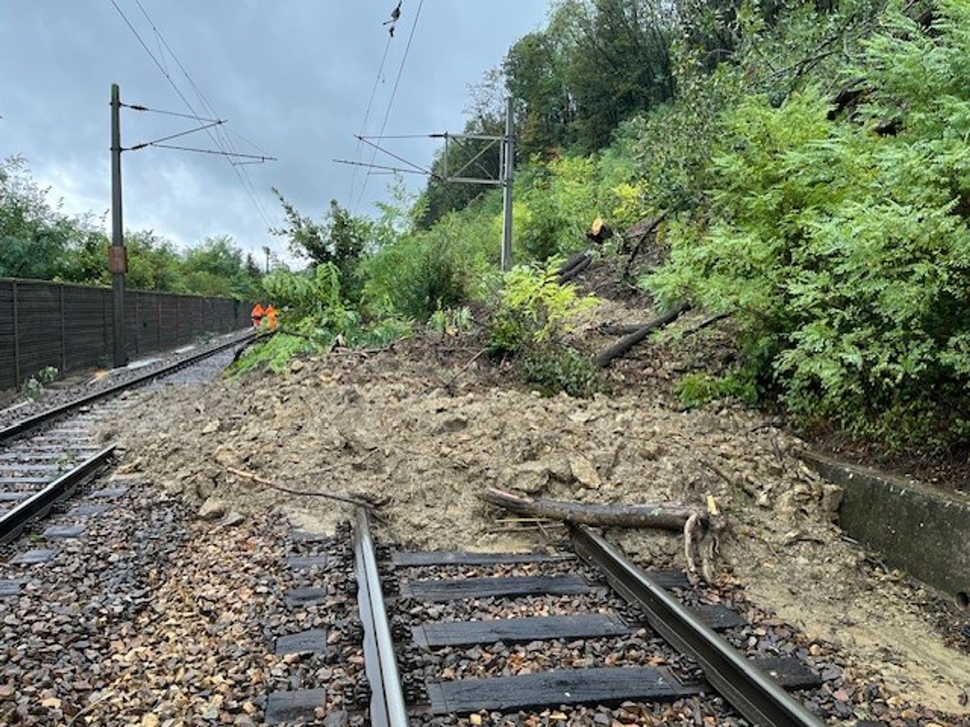 Abgegangene Mure über einer ÖBB Bahnstrecke