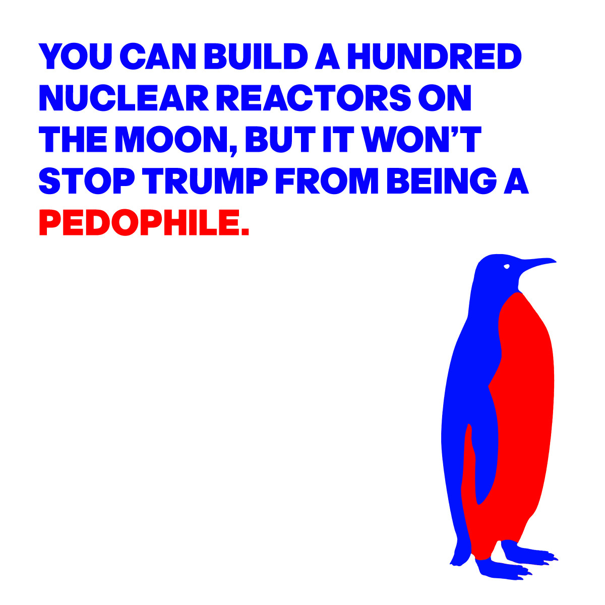 IMAGE OF A PENGUIN
WITH THE WORDS:
YOU CAN BUILD A HUNDRED
NUCLEAR REACTORS ON 
THE MOON BUT IT WON’T 
STOP TRUMP FROM BEING A 
PEDOPHILE.