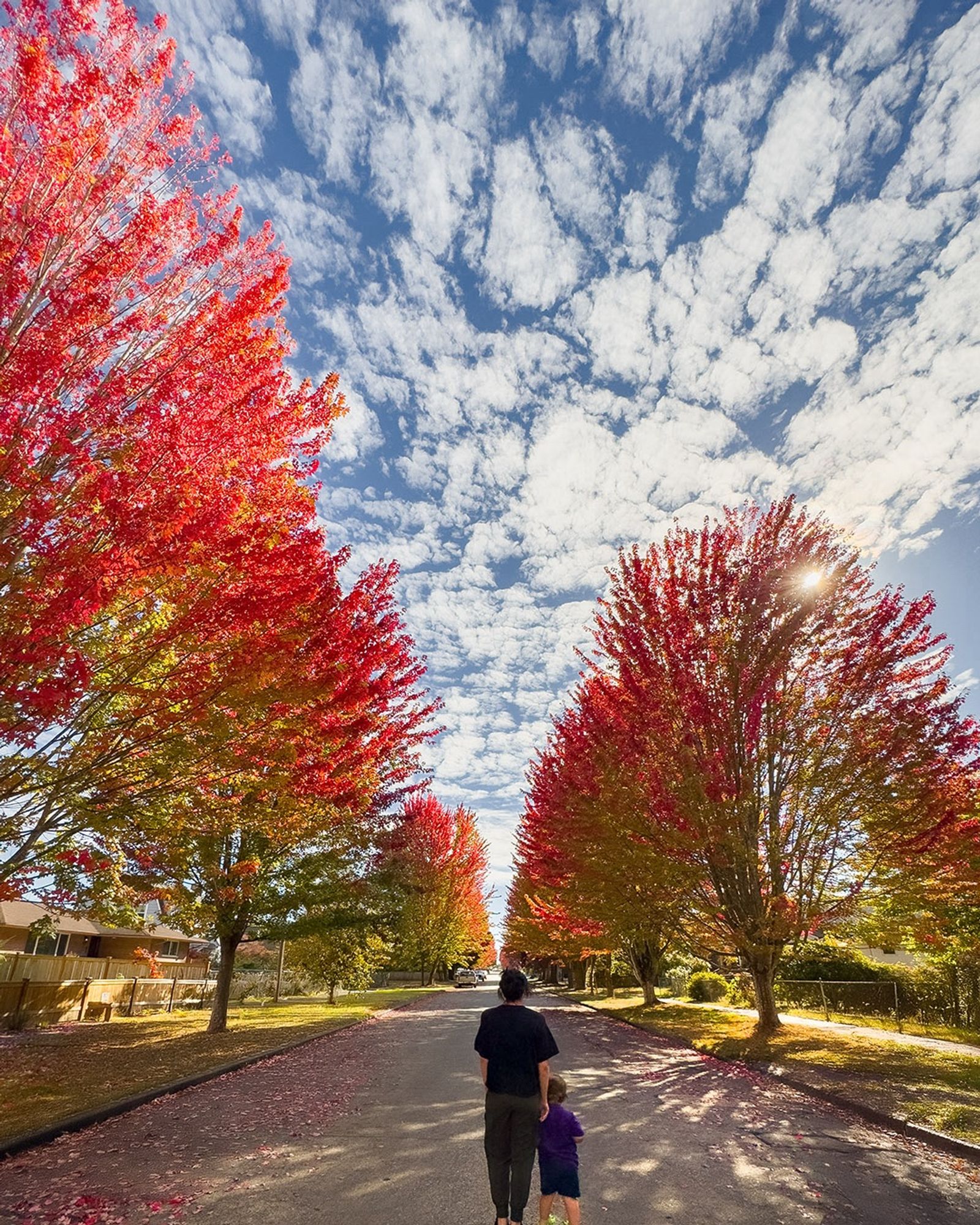 It is my wife and son standing in a street in our neighborhood where the leaves are turning red the sun is shining through a patchwork of clouds