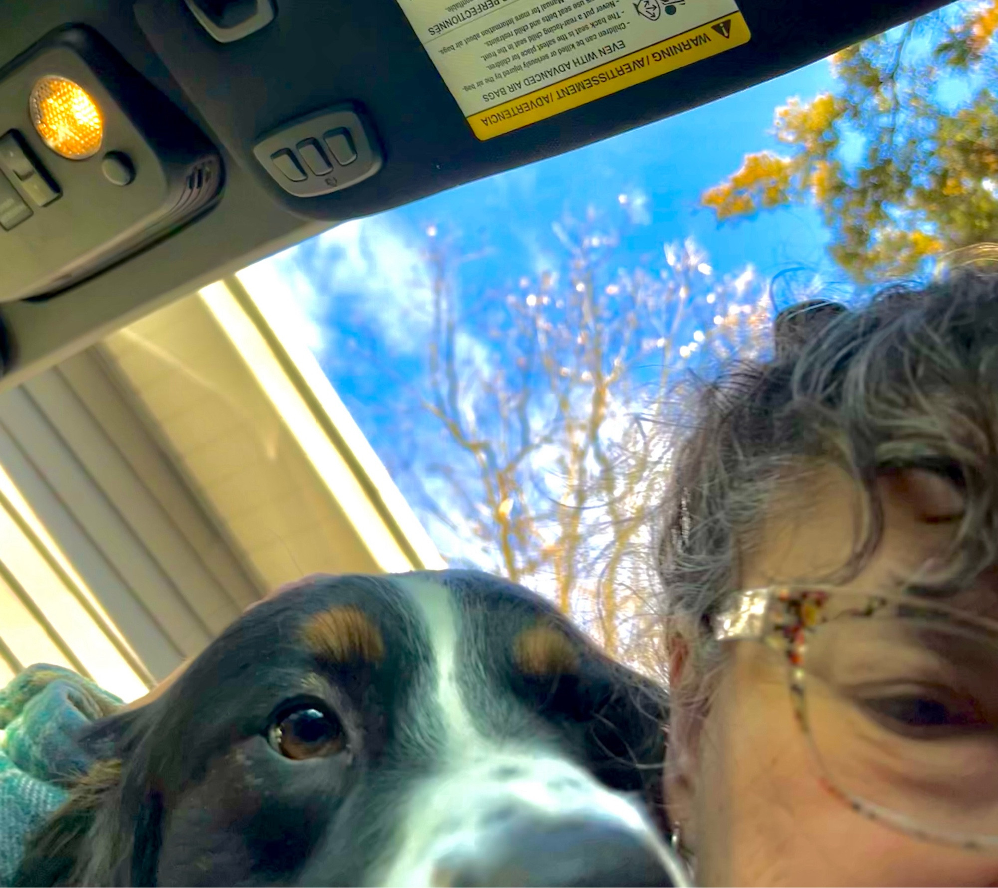 Black tri Aussie pup in convertible with older white woman who has glasses on