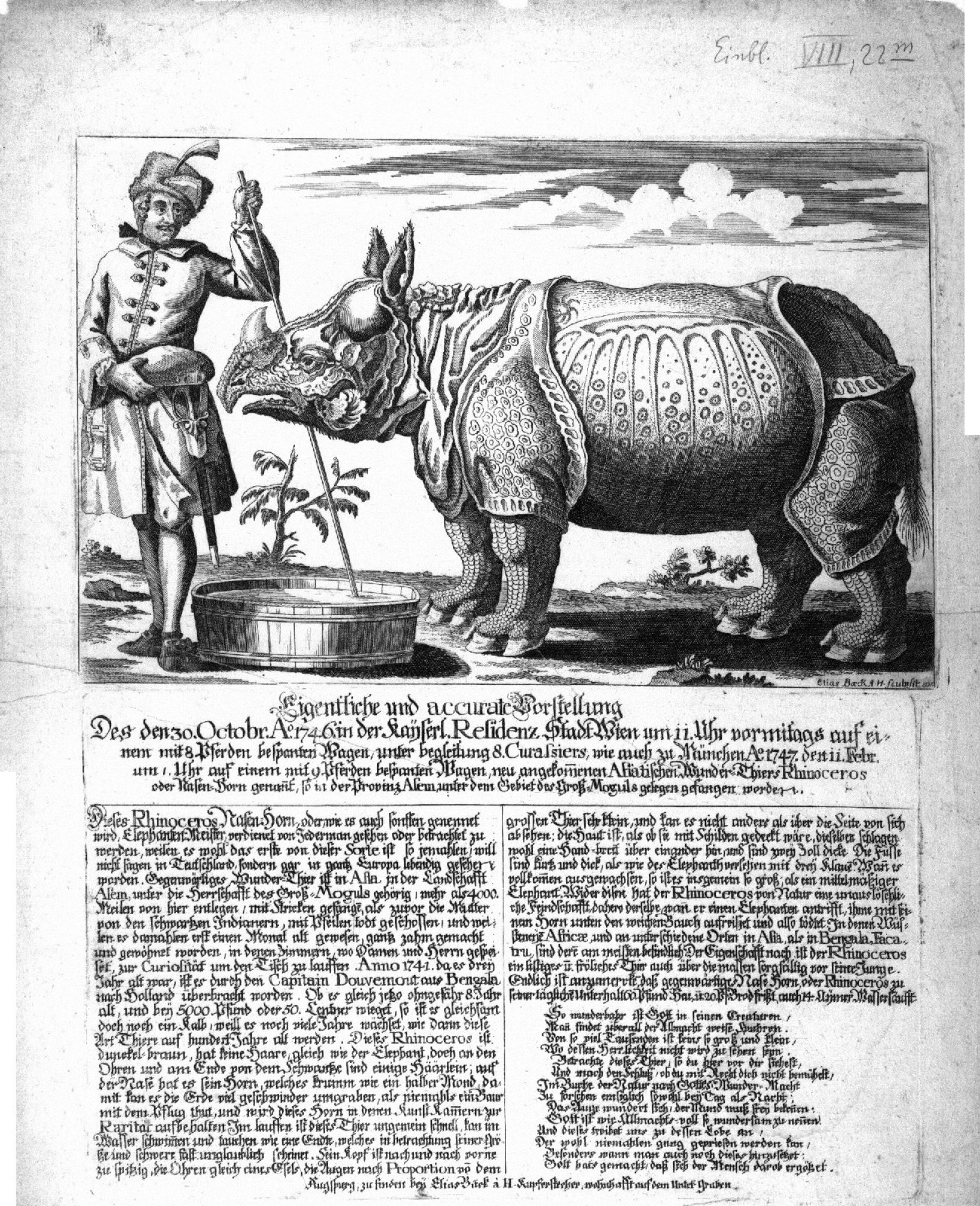 News-sheet reporting on Clara in Vienna with engraving by Elias Baeck (1746)