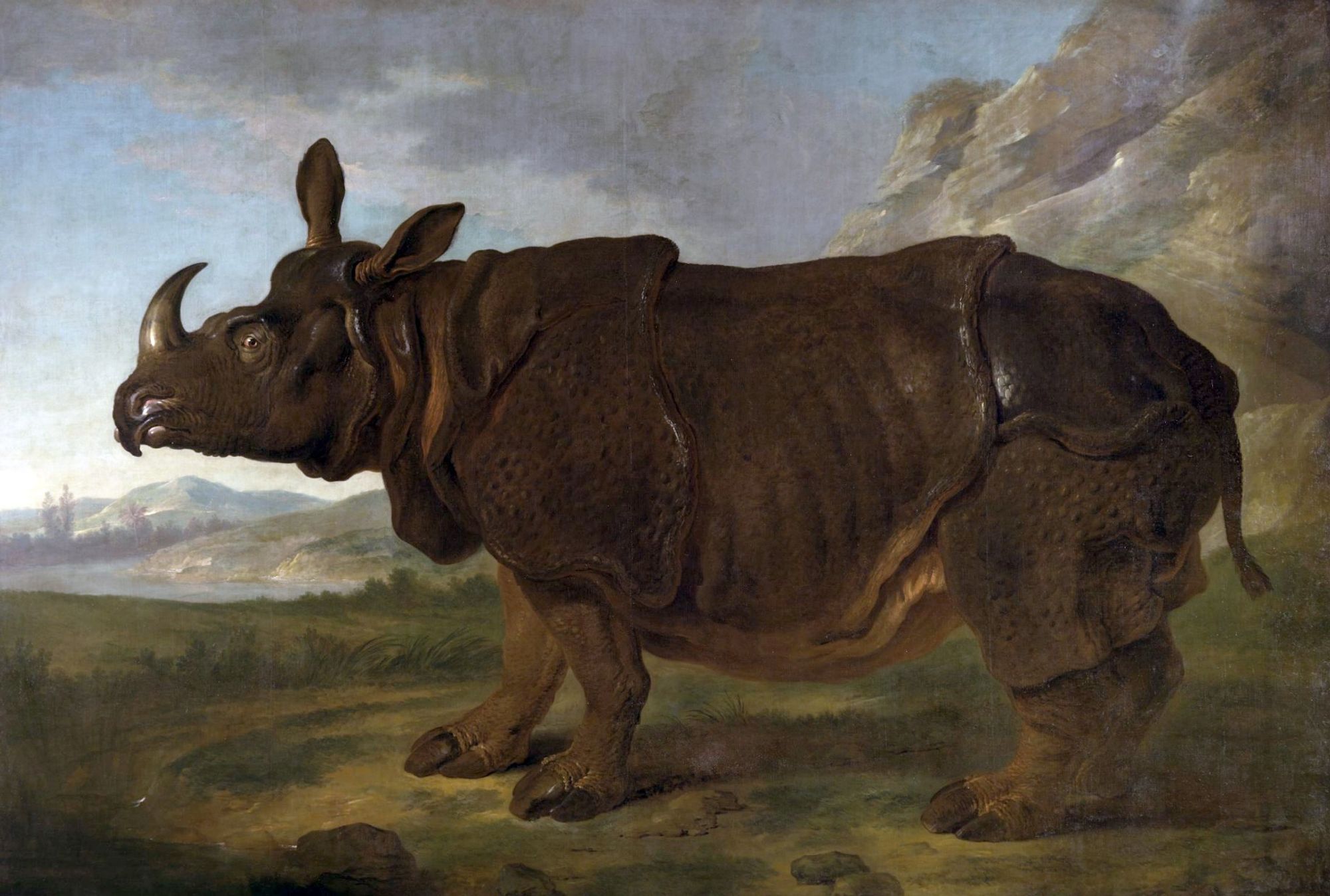 Jean-Baptiste Oudry, Clara the Rhinoceros in Paris in 1749, oil on canvas Staatliches Museum Schwerin