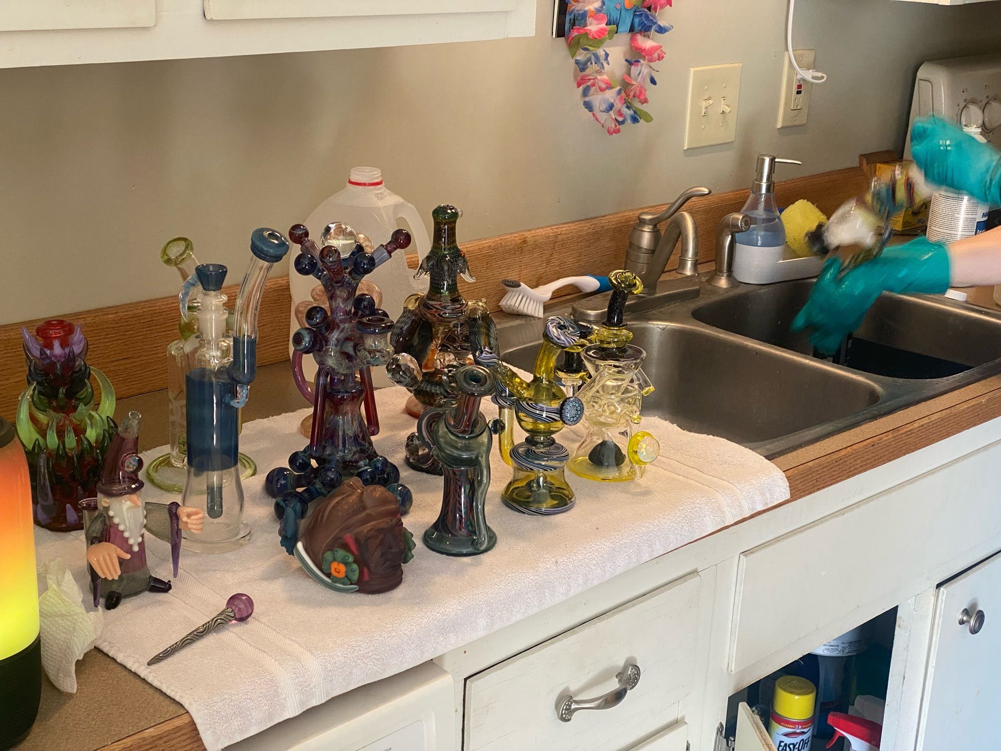 Kitchen counter has been invaded by heady bongs. Starting at the back right is 99 hooks by Redbone, then a green and clear incycler by Geo’s Glass, silver and gold fumed recycler by Fumegator, next is a rainbow bubble trap dragon by Steve Sizelove and Jkelly. 

Middle row right to left: purple wizard rig by Phil Siegle, the first king Bub by Shamby glass, amber purple hash hookah #1 by Dmop glass

Front row right to left: sienna brown peyote nagual by Pinky Brewtz, blue and rainbow coogi inspired recycler by Trip a and Jfell Glass, yellow and blue xhalerator by Phil Mickelson, and a yellow and black exocycler by Jfell Glass

Over the sink a friend is shaking a bong to clean