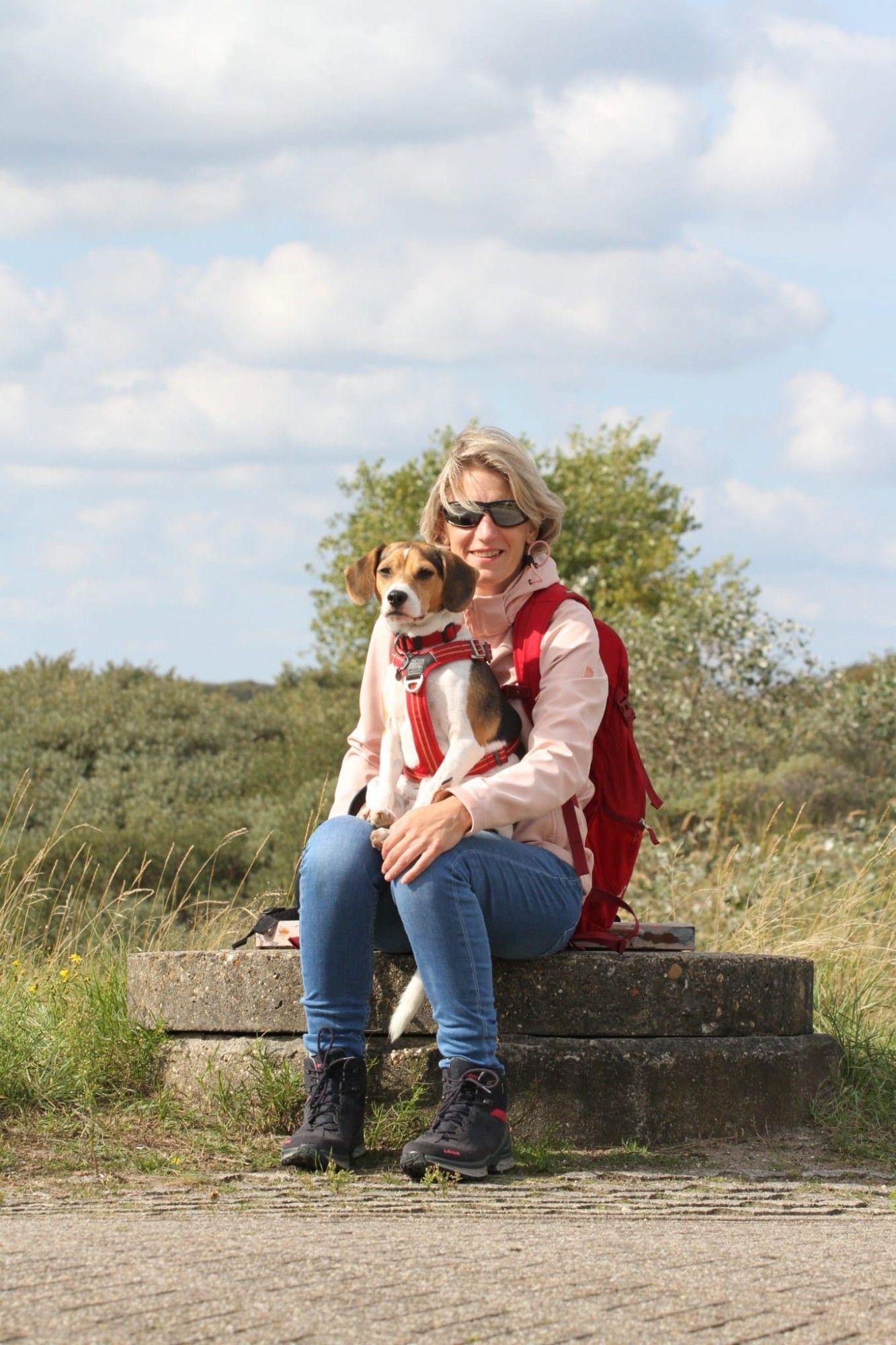 Youke and Sammy resting during a walk in the dunes.