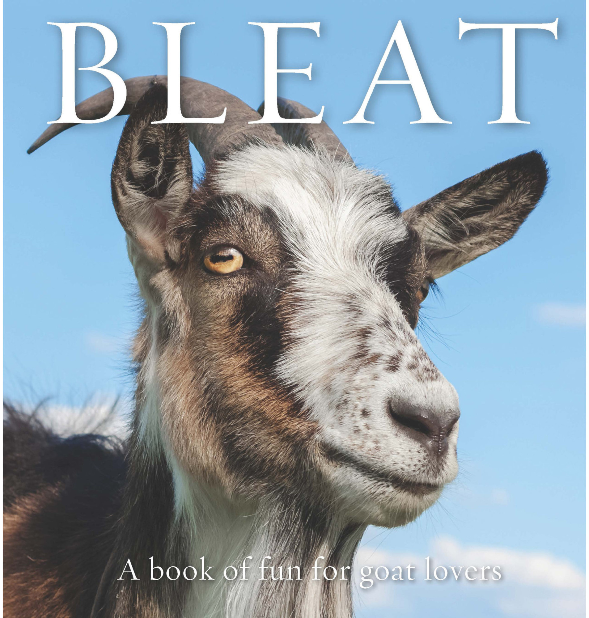 Book cover for BLEAT: A book of fun for goat lovers showing a very saucy goat.