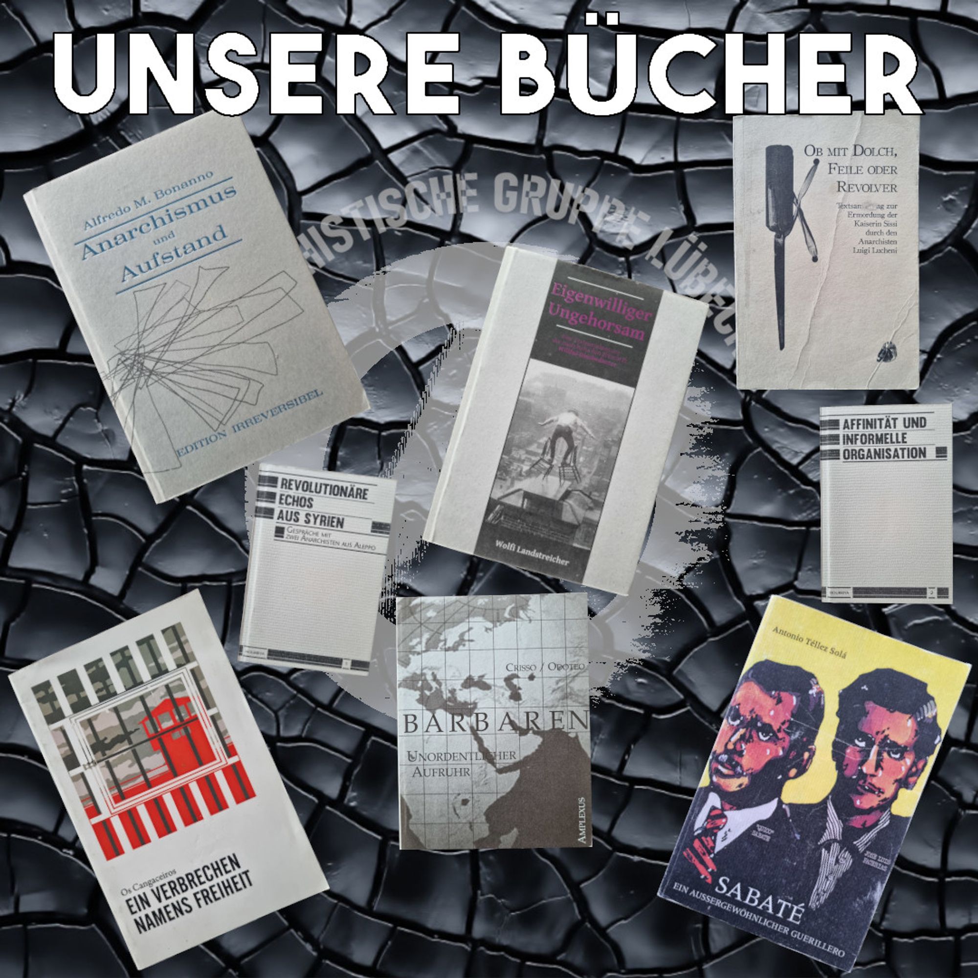 Schwarzer Hintergrund, darauf ein weißes Anarchie A sowie der Schriftzug „Anarchistische Gruppe Lübeck“. Zu sehen sind auch die Cover folgender Bücher: „Anarchismus und Aufstand“, „Eigenwilliger Ungehorsam“, „Ob mit Dolch, Feile oder Revolver“, „Ein Verbrechen namens Freiheit“, „Sabaté – ein aussergewöhnlicher Guerillero“, „Barbaren – unordentlicher Aufruhr“, „Affinität und informelle Organisation“, „Revolutionäre Echos aus Syrien“.