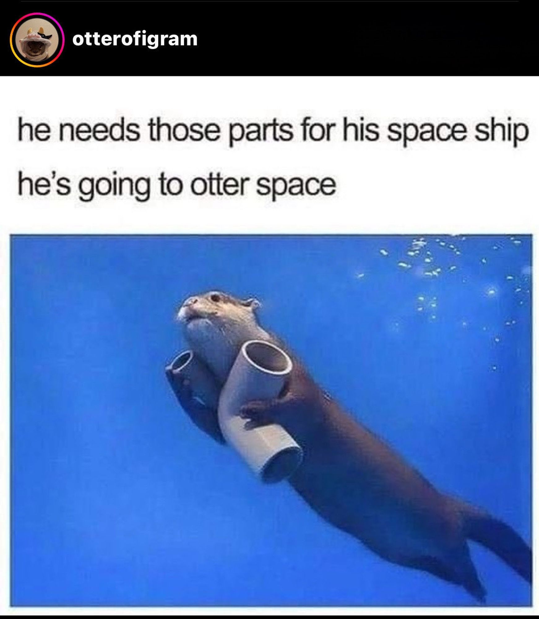 otterofigram
 he needs those parts for his space ship
 he's going to otter space

An otter swims through the water with pieces of pipe in its hands