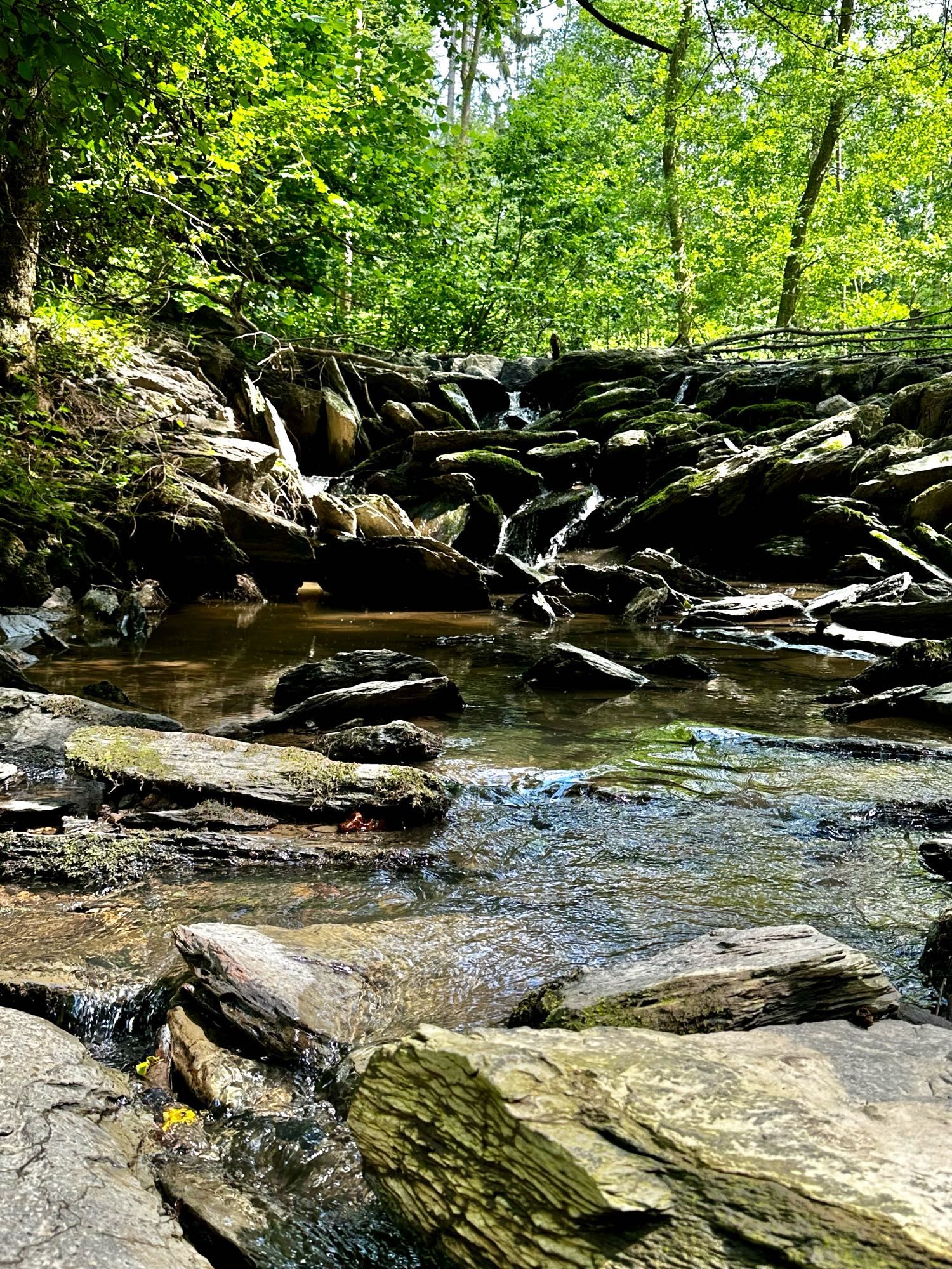 Ein Bach mit felsigen Steinen im Wald