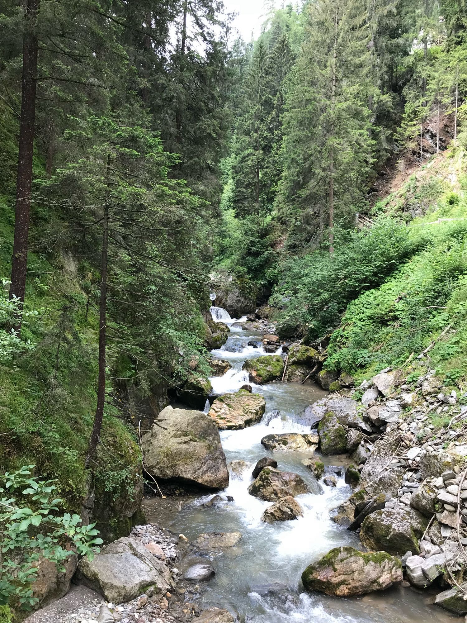 Ein Gebirgsbach im Wald mit großen Steinen