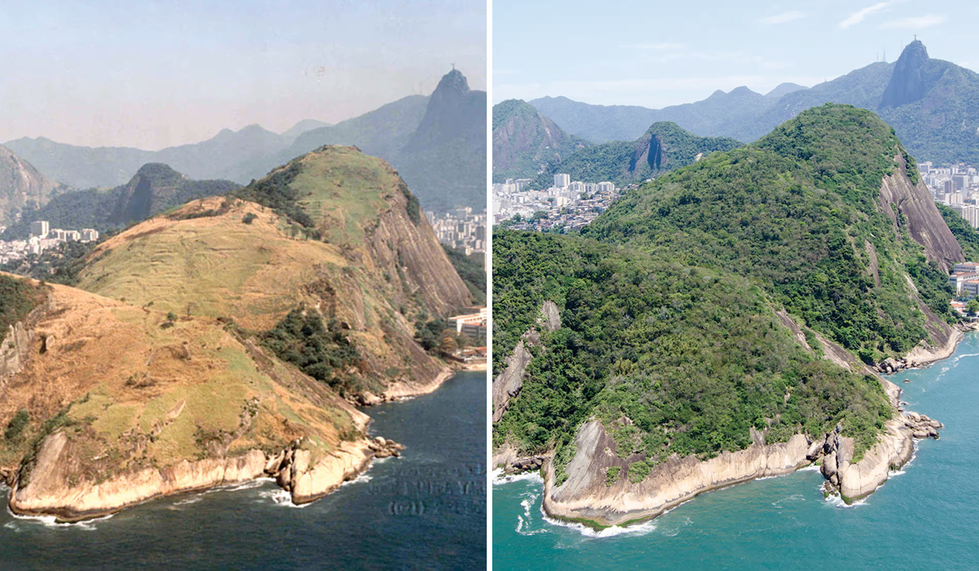 Duas imagens do Morro do Urubu no Rio de Janeiro, uma mostrando a área em 1990 quase sem árvores e com vegetação degradada e a outra em 2019 mostrando a área coberta de verde vibrante