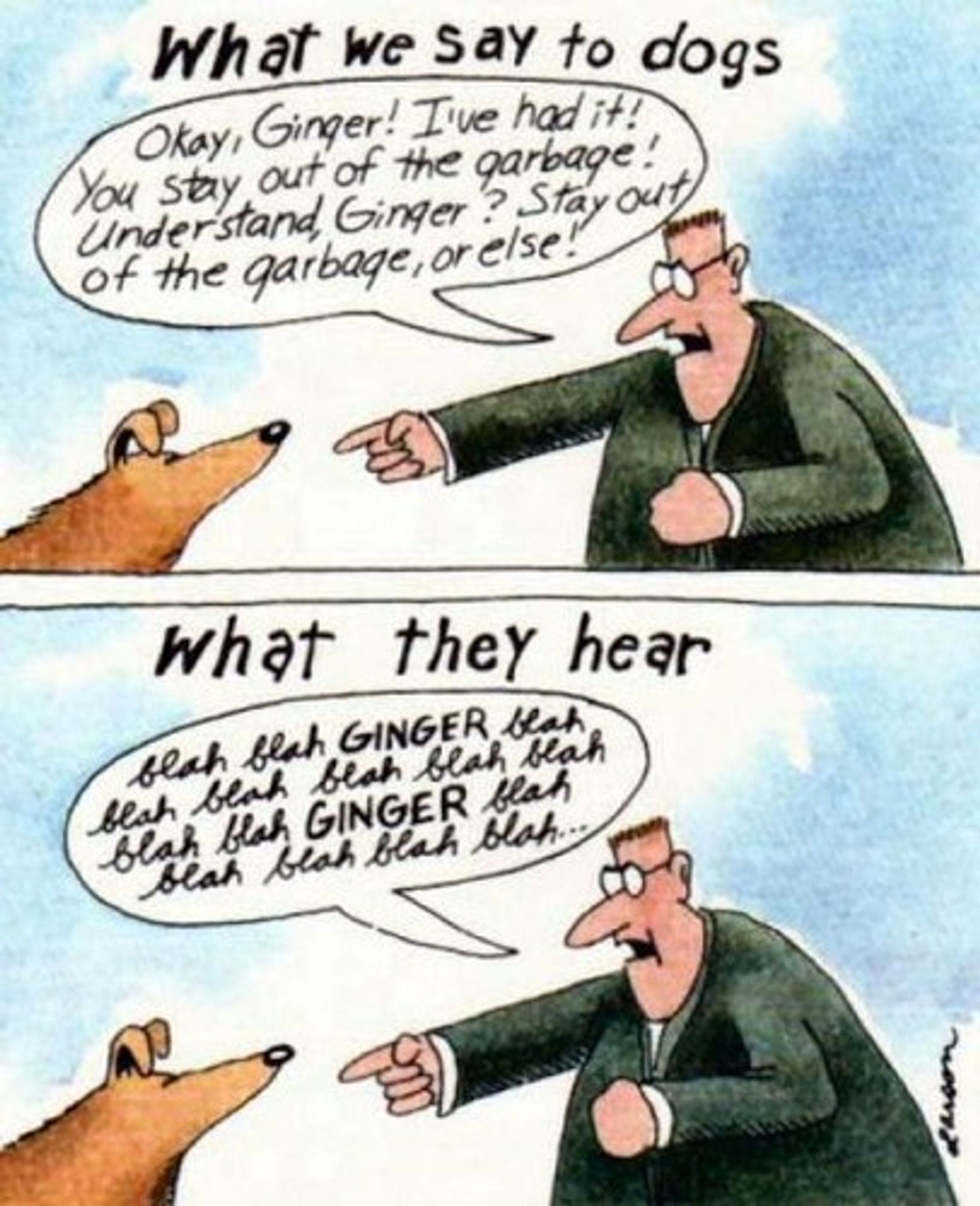 First panel of a Far Side cartoon: A man saying to his dog, Okay Ginger. I've had it! You stay out of the garbage! Understand, Ginger? Stay out of the garbage or else'. Second panel, labeled 'What dogs hear': blah blah blah, Ginger blah blah blah Ginger blah blah blah.'