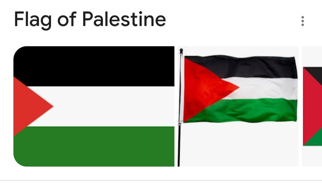 Image of the Palestinian flag. The top stripe is black, the middle stripe is white, the bottom stripe is green, with a red triangle on the left side.