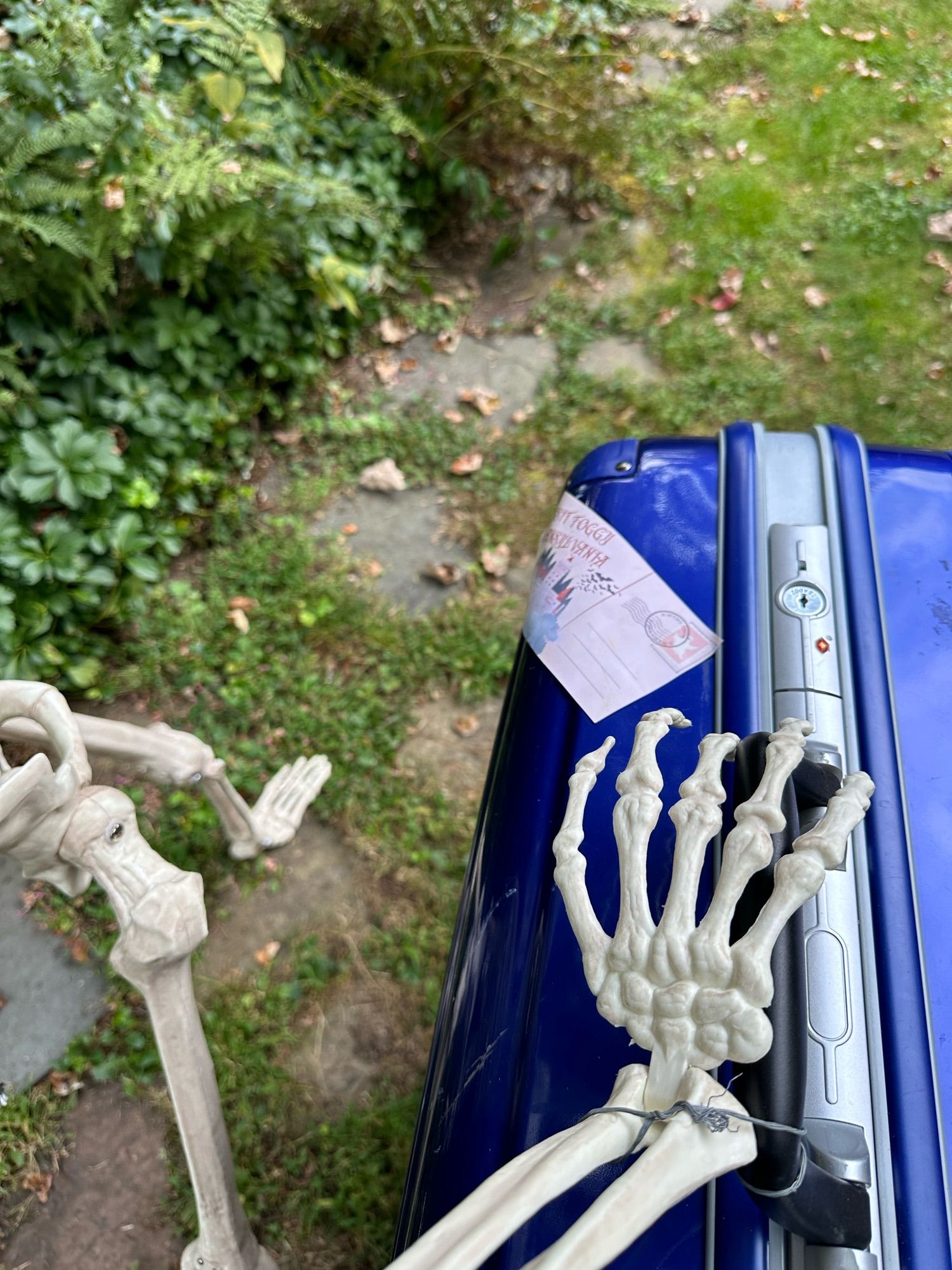 A bony hand clutches a purple suitcase, a ‘Visit Foggy Transylvania’ sticker glued to it. Bony legs intrude in the frame as if a skeleton is walking somewhere, carrying the suitcase.