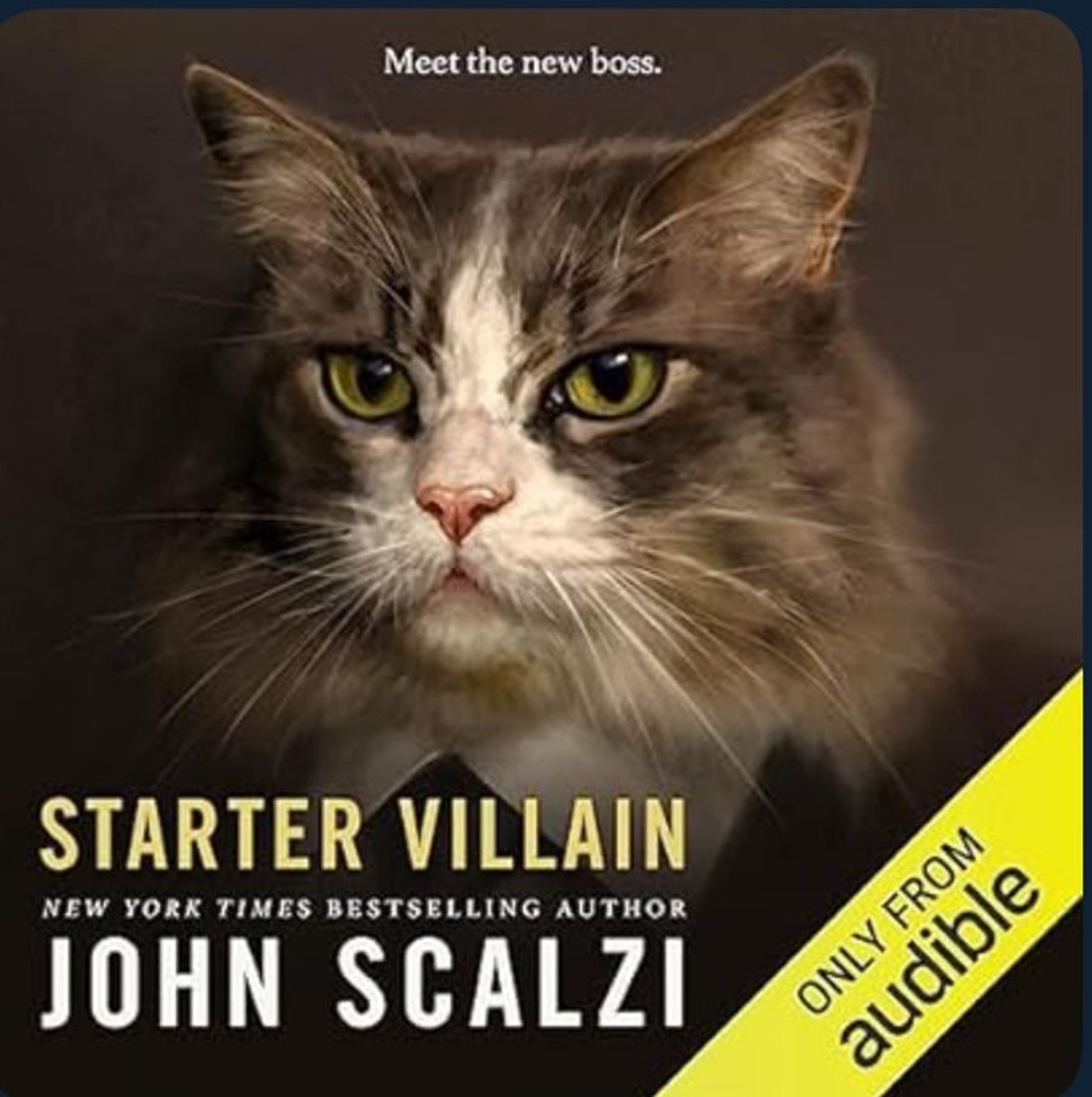 Audible's cover image for STARTER VILLAIN, by John Scalzi. A cat (maybe a Maine Coon?) is painted in a portrait style. It wears a respectable black suit.