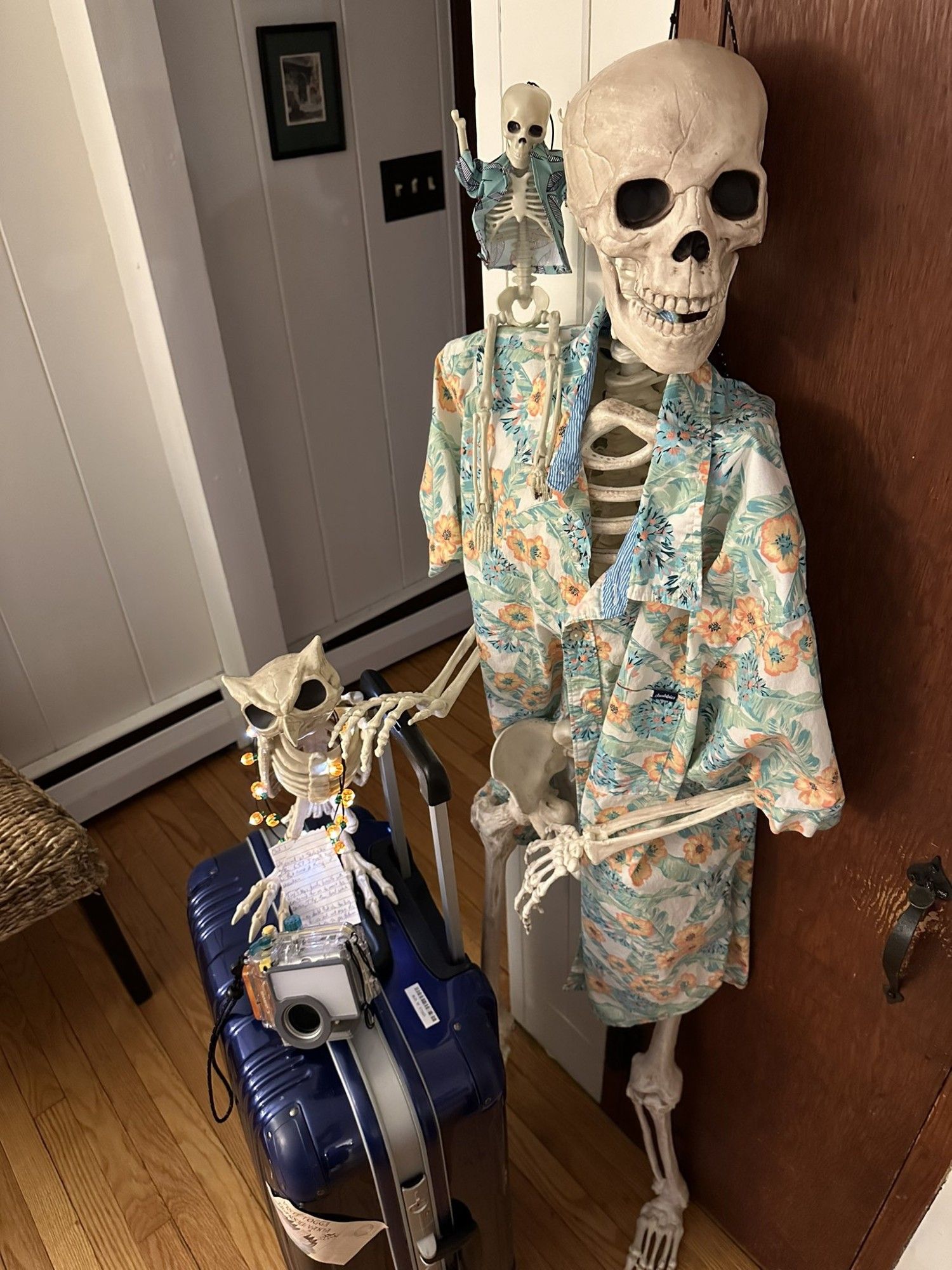 A large skeleton dressed in a Hawaiian shirt stands in a house’s entryway next to a purple rolling suitcase, looking at the viewer. On the suitcase is an underwater camera and a skeletal owl wearing a jack o lantern necklace. Perched on the big skeleton’s shoulder is a much smaller skeleton with one arm, wearing a similarly loud shirt.