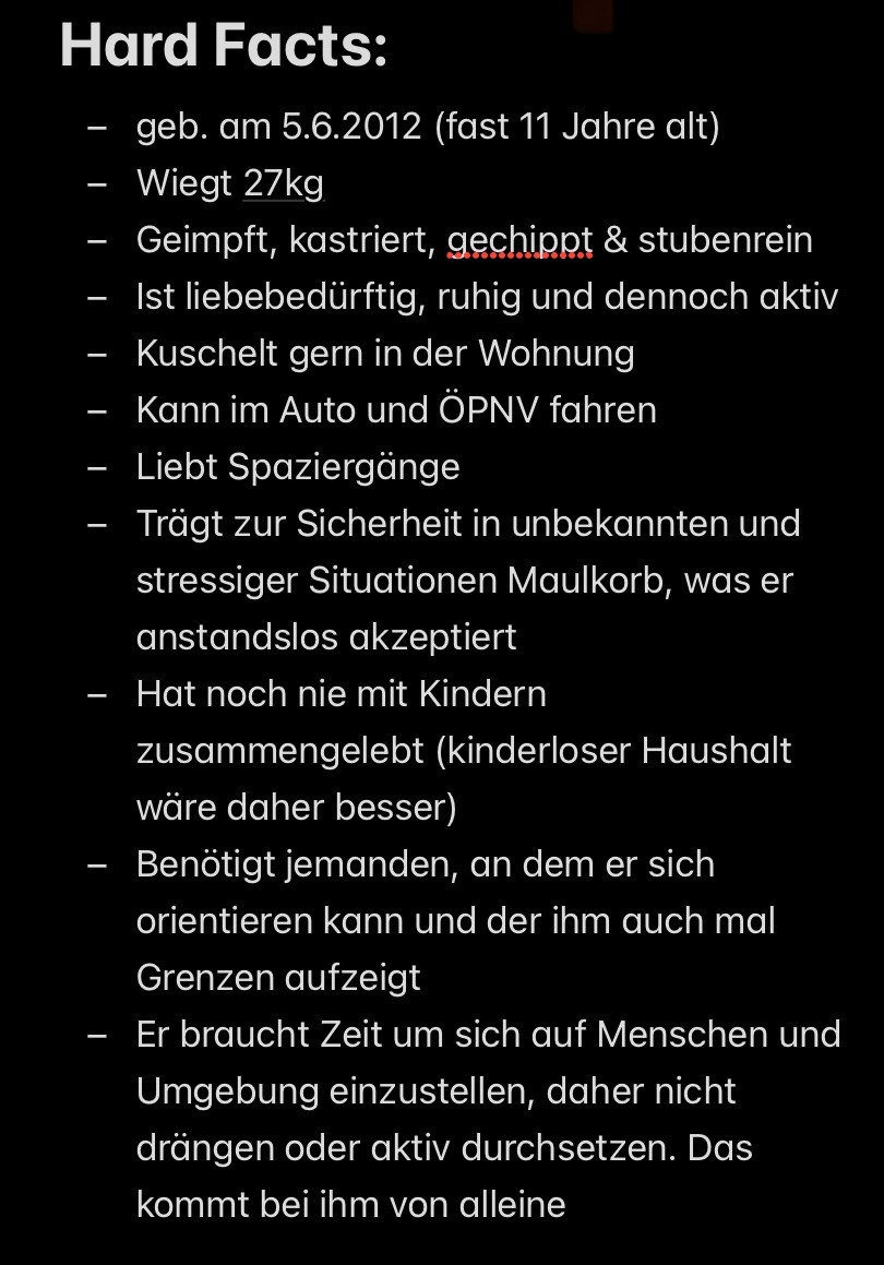 Hard Facts:
- geb. am 5.6.2012 (fast 11 Jahre alt)
- Wiegt 27kg
- Geimpft, kastriert, gechippt & stubenrein
- Ist liebebedürftig, ruhig und dennoch aktiv
- Kuschelt gern in der Wohnung
- Kann im Auto und ÖPNV fahren
- Liebt Spaziergänge
- Trägt zur Sicherheit in unbekannten und stressiger Situationen Maulkorb, was er anstandslos akzeptiert
- Hat noch nie mit Kindern zusammengelebt (kinderloser Haushalt wäre daher besser)
- Benötigt jemanden, an dem er sich orientieren kann und der ihm auch mal Grenzen aufzeigt
- Er braucht Zeit um sich auf Menschen und Umgebung einzustellen, daher nicht drängen oder aktiv durchsetzen. Das kommt bei ihm von alleine