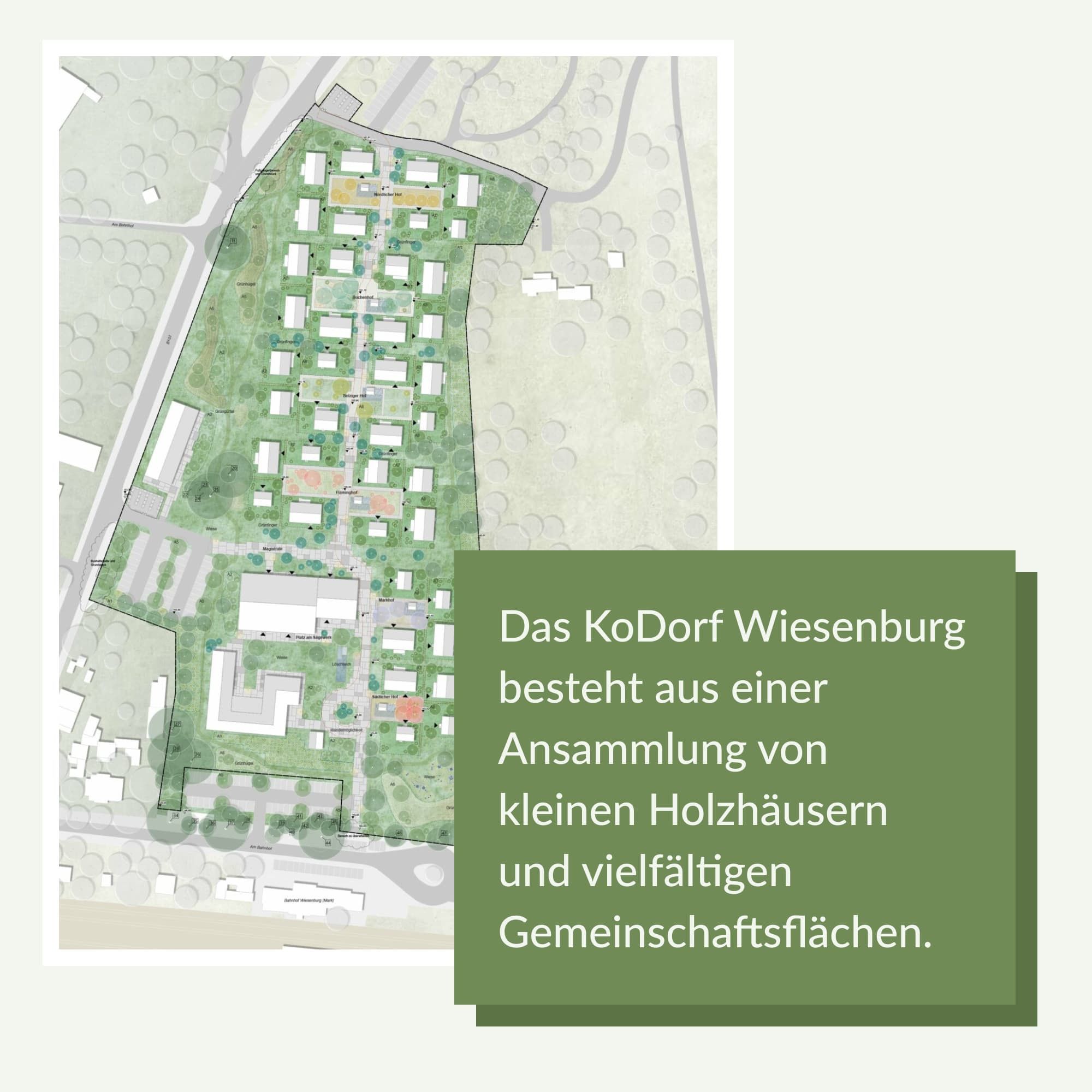 Ein Lageplan des KoDorfes. Man erkennt ca. 40 Kleinhäuser und das zentrale Gebäude des alten Sägewerks. Daneben der Text "Das KoDorf Wiesenburg besteht aus einer Ansammlung von kleinen Holzhäusern und vielfältigen Gemeinschaftsflächen."