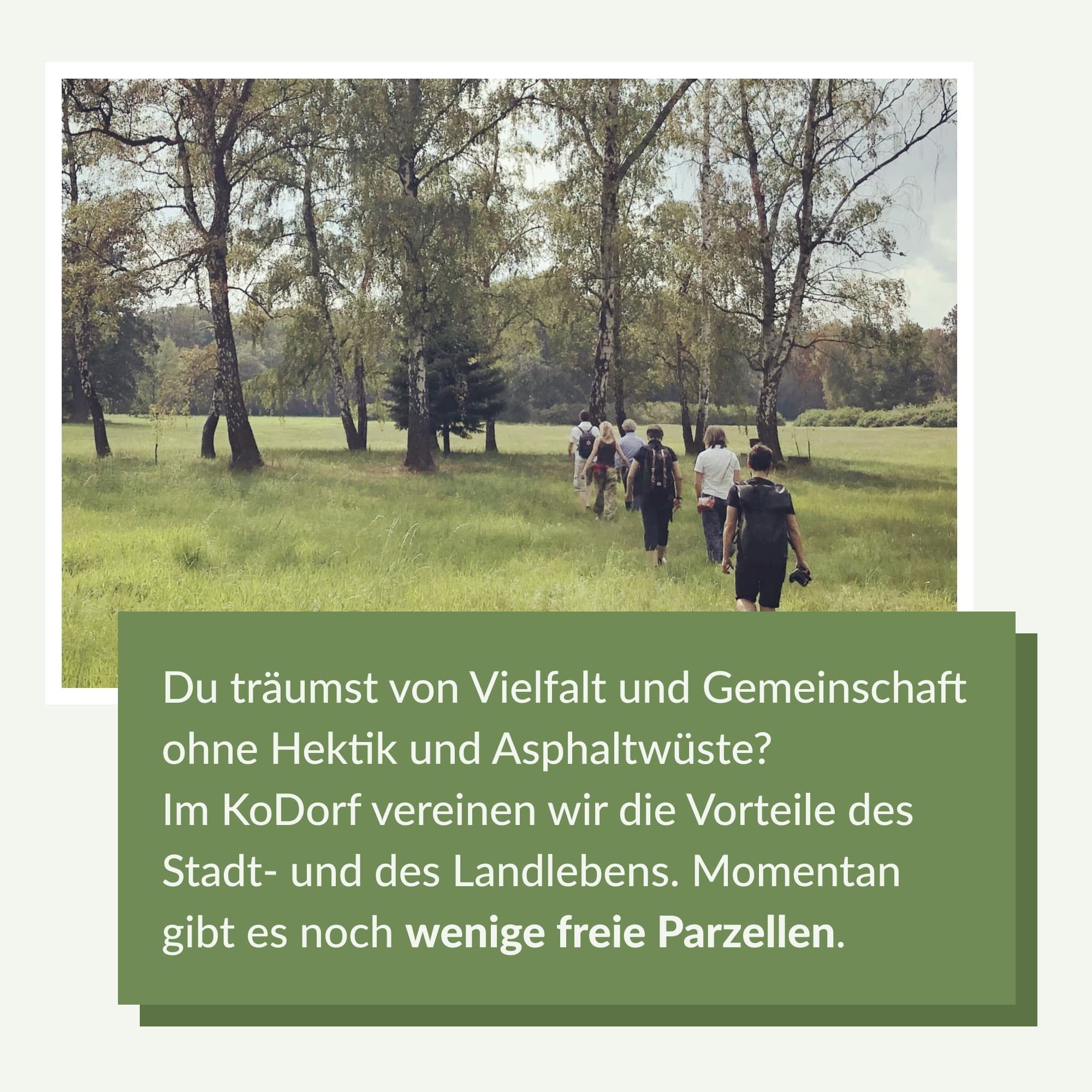 6 Personen gehen hintereinander über eine Wiese auf eine Baumreihe zu. Im HIntergrund Wald. Darunter der Text "Du träumst von Vielfalt und Gemeinschaft ohne Hektik und Asphaltwüste? Im KoDorf vereinen wir die Vorteile des Stadt- und des Landlebens. Momentan gibt es noch wenige freie Parzellen."