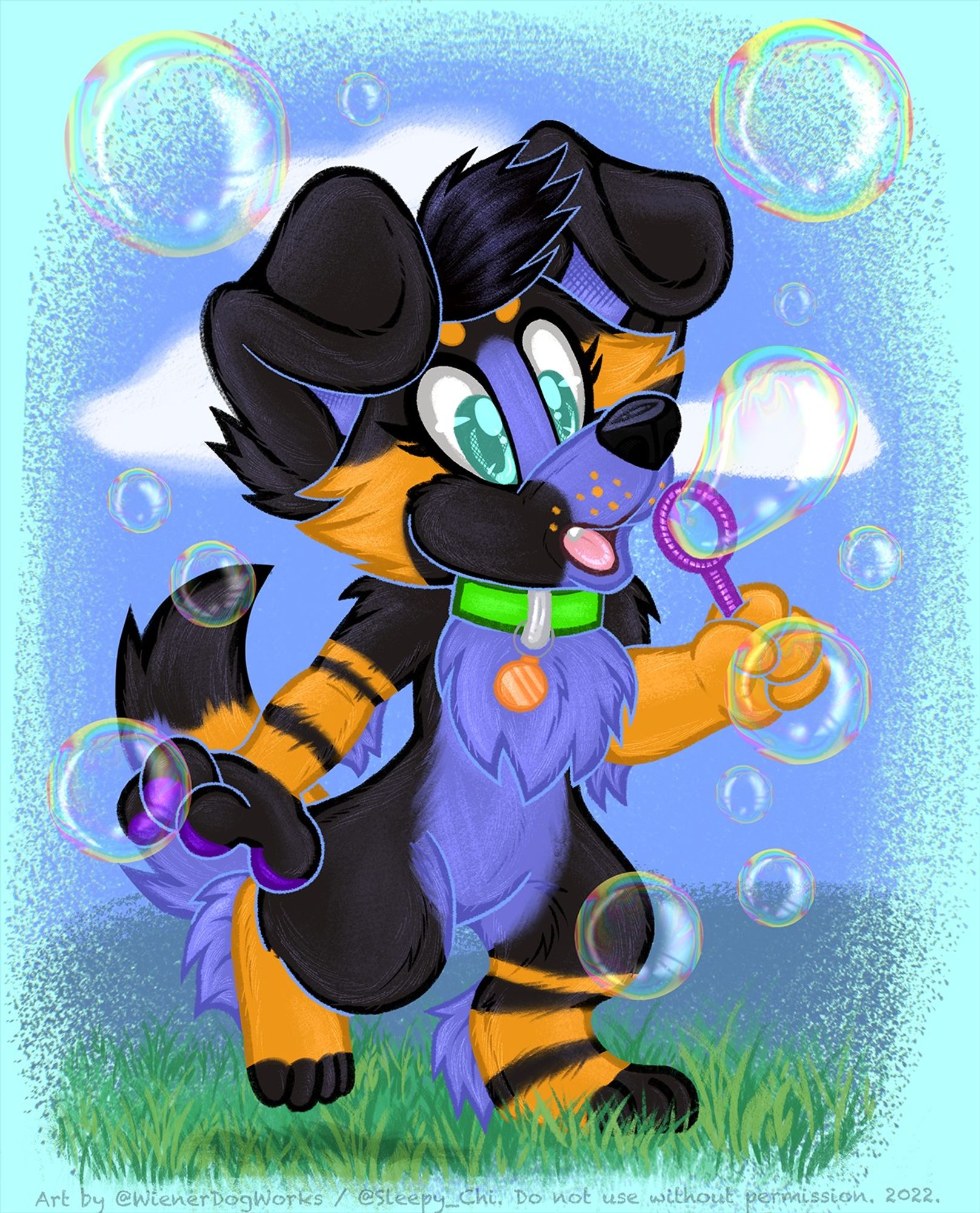 Blue collie dog blowing bubbles