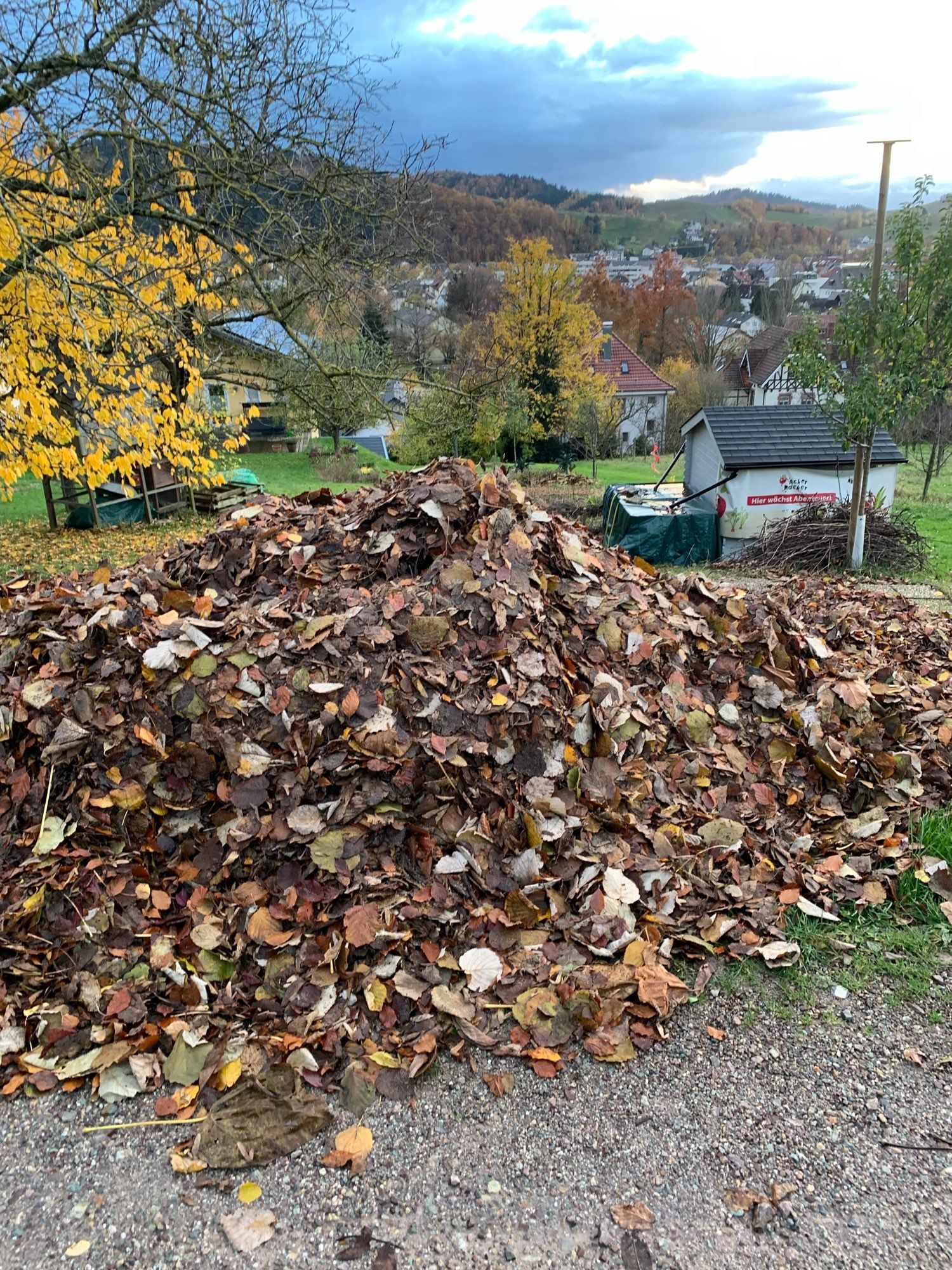 Ein Haufen Laub.