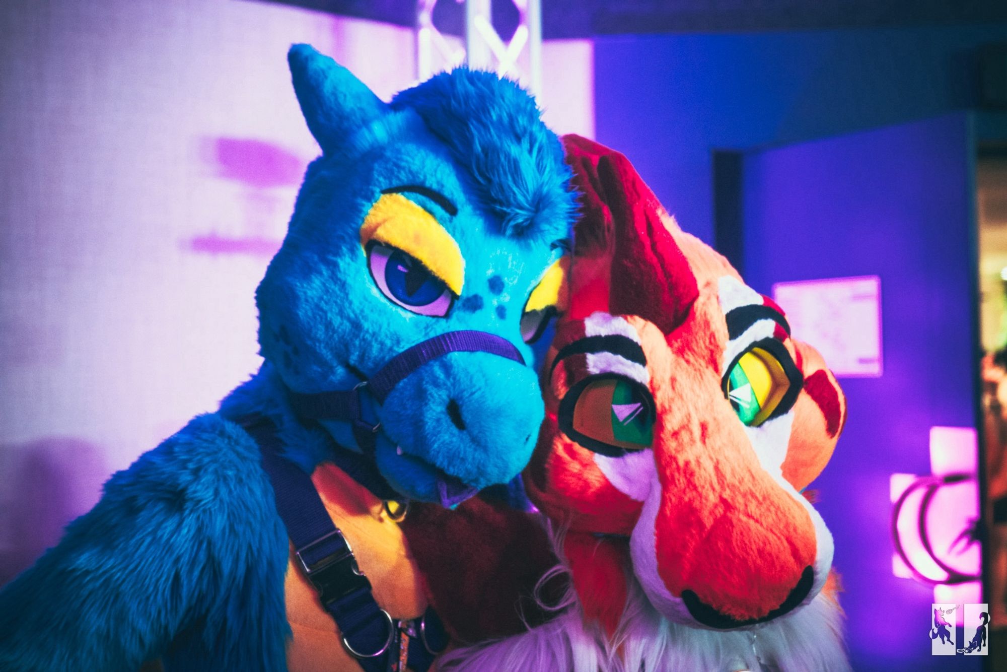 A blue and yellow aquatic dragon fursuiter posing with a orange, red and white shark-hound fursuiter for a photo at the Sunday night Furdu 2024 dead dog dance