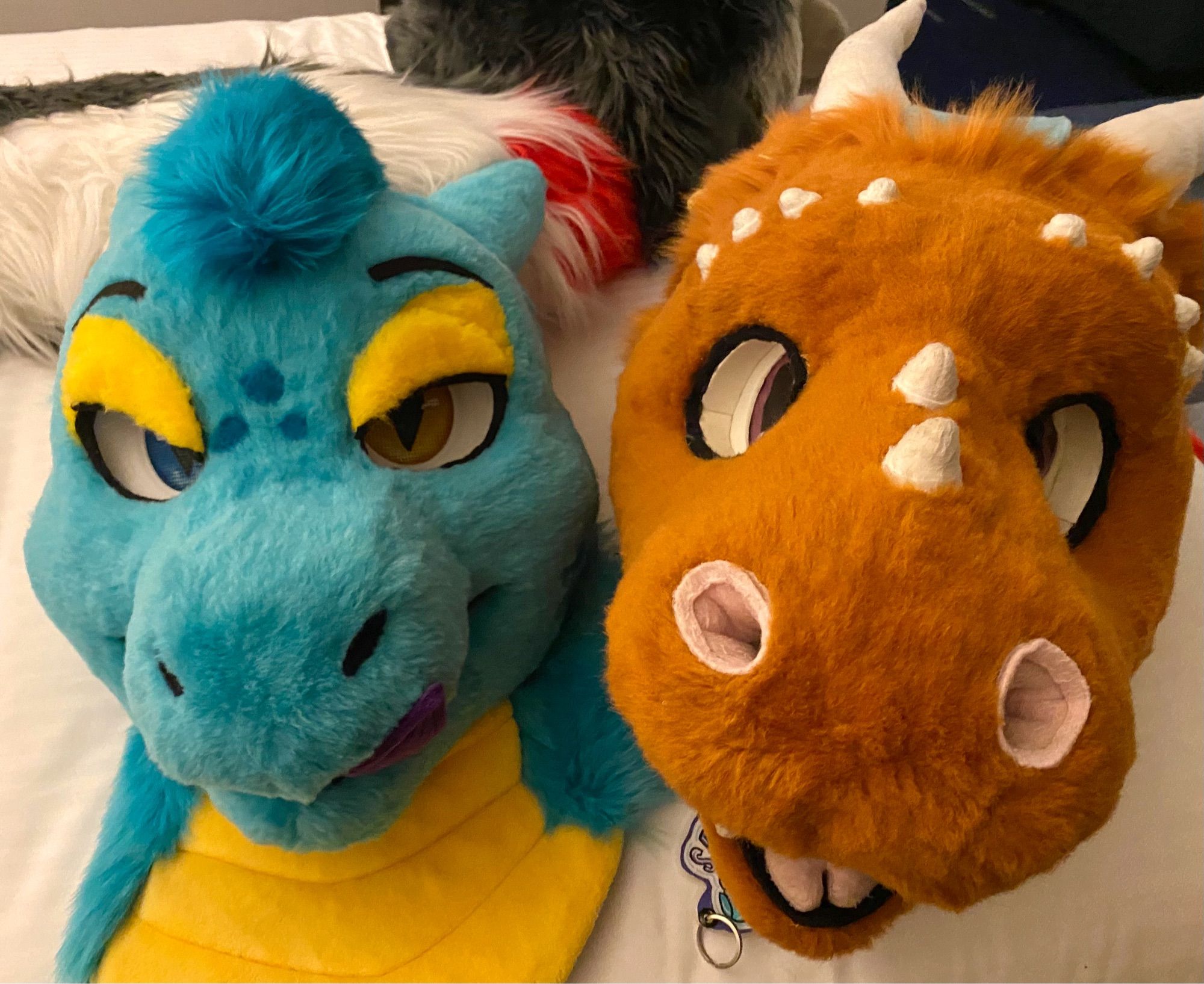 A blue and yellow dragon fursuit head next to a brown Dutch angel dragon fursuit head