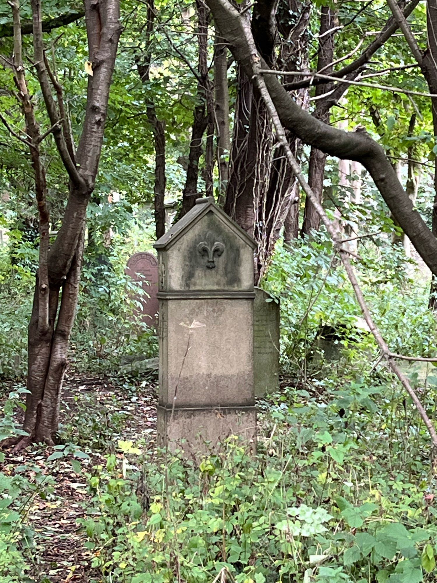 Reverse view of a grave memorial in an overgrown cemetery. The top section of the memorial appears to have a ghostly face peering out of it. It’s an embossed stone fleur-de-lis which is stained and weathered so as to resemble a face.